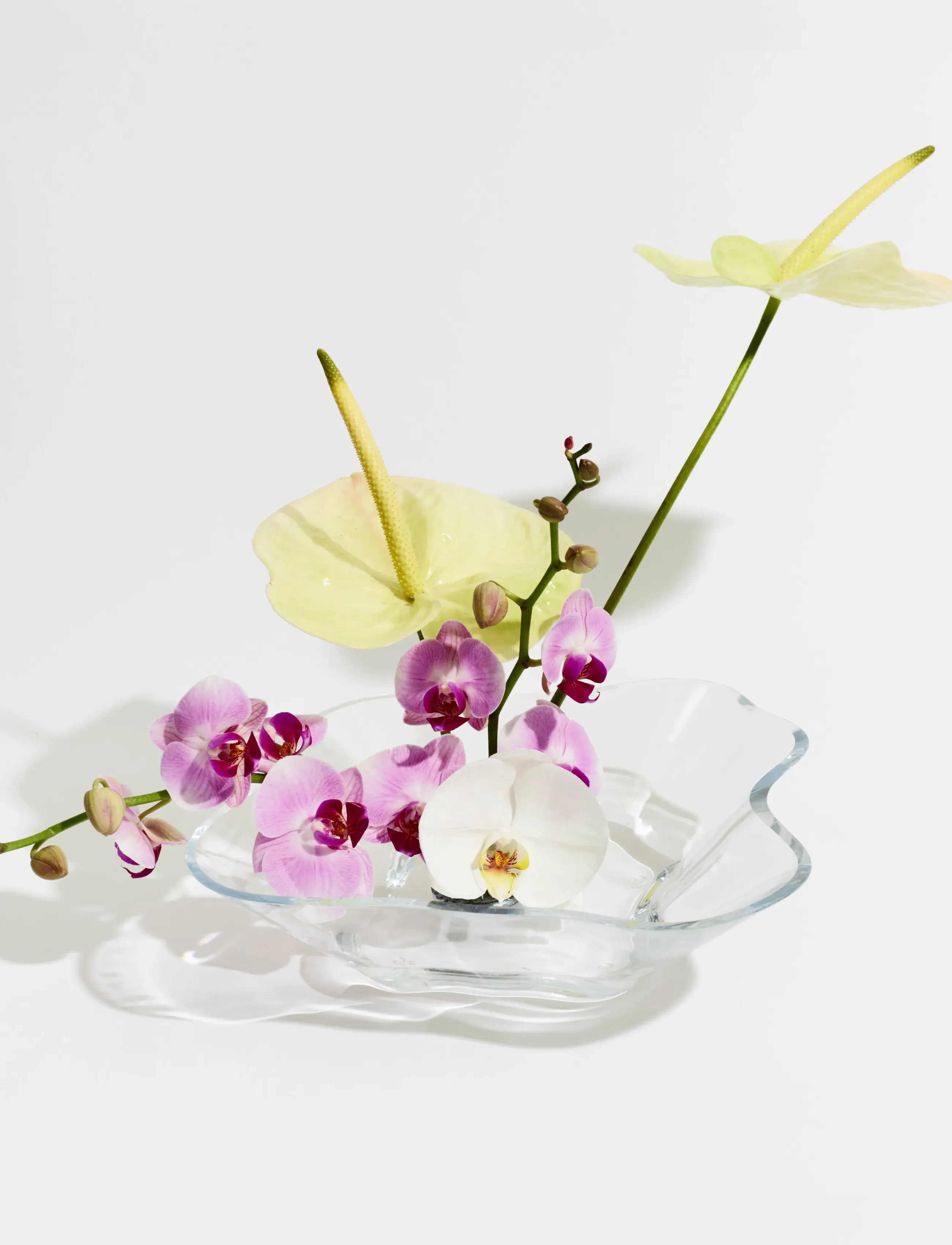 Iittala Aalto Flower Bowl 279X75Mm Clear, 279X75MM, Nude, Vases > Other Vases, Unisex