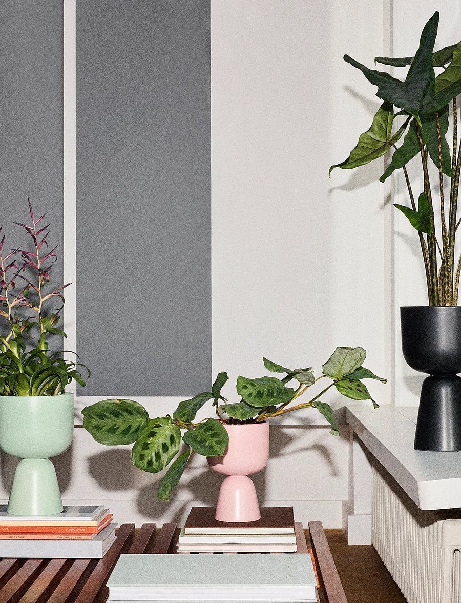 Iittala - Nappula plant pot 320x190 matte black - lillepotid - matte black - 2