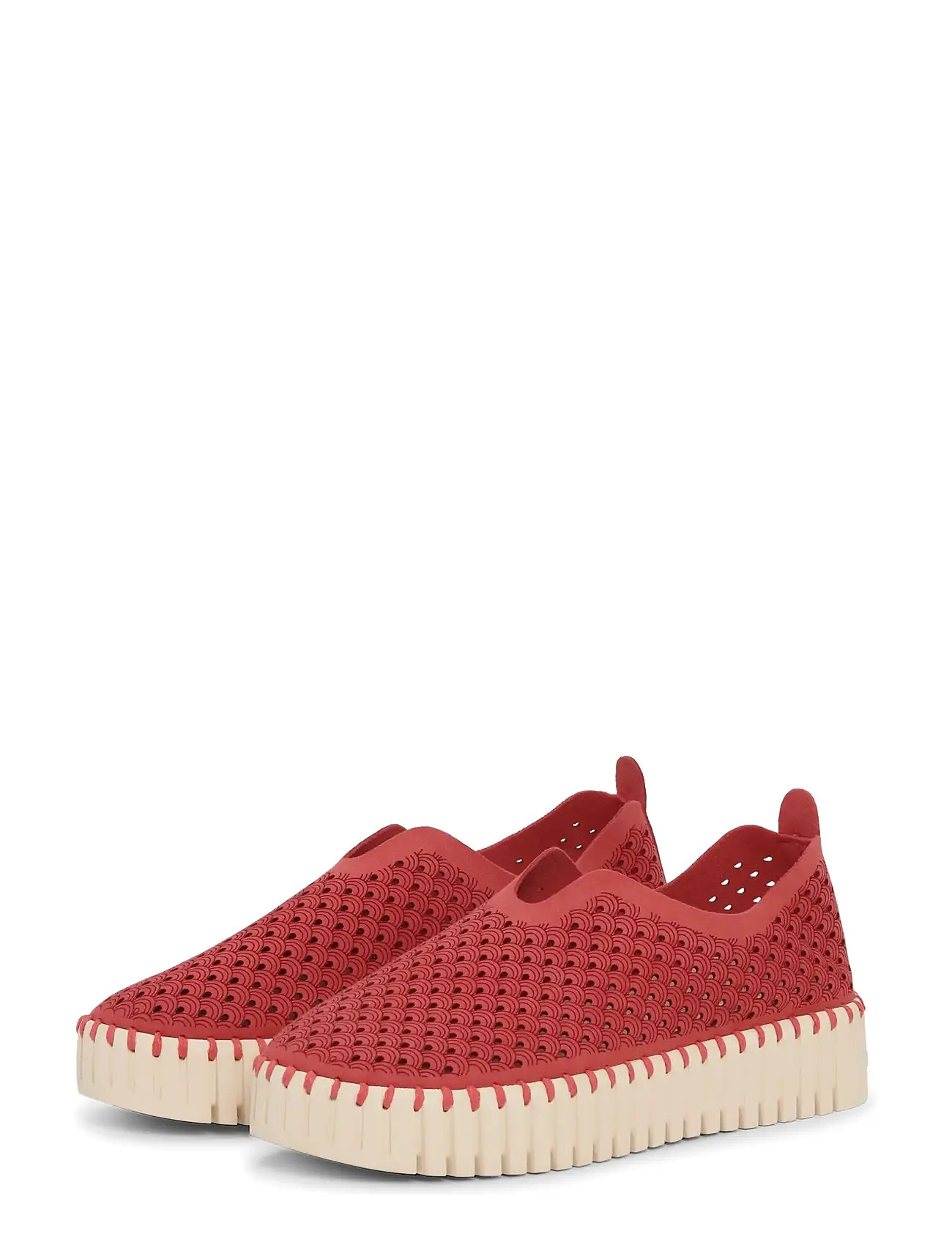 Coral