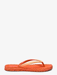 Ilse Jacobsen - Flip Flop With Glitter - madalaimad hinnad - 349 hot orange - 1