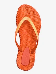 Ilse Jacobsen - Flip Flop With Glitter - kvinner - 349 hot orange - 3