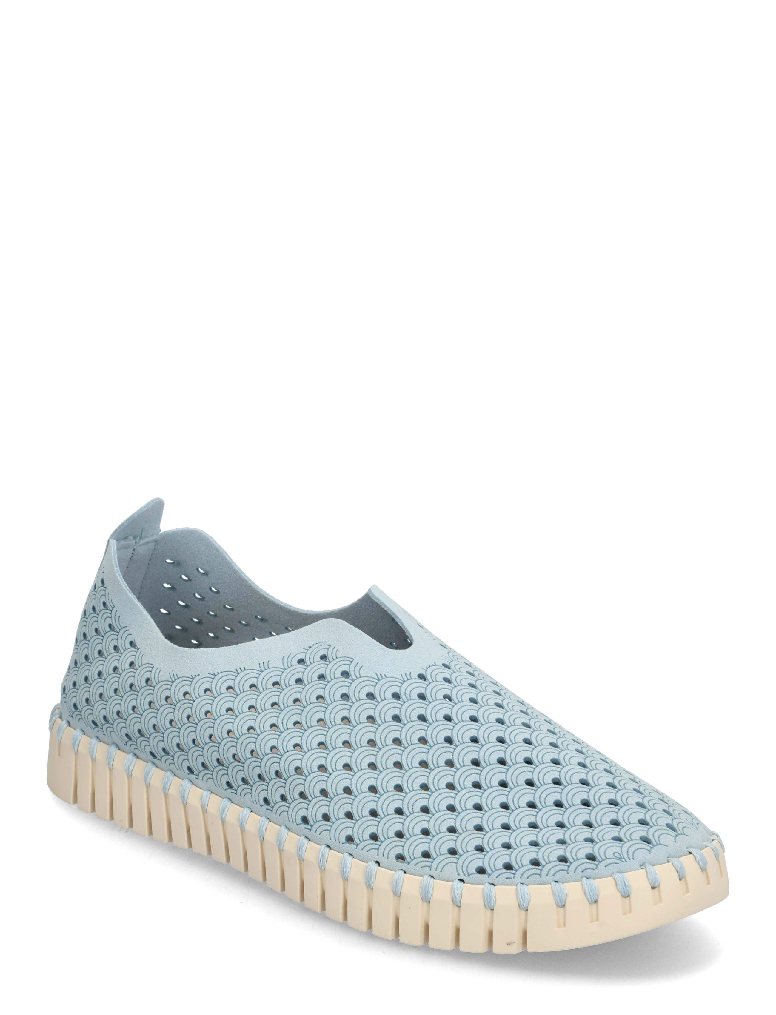 ASH BLUE
