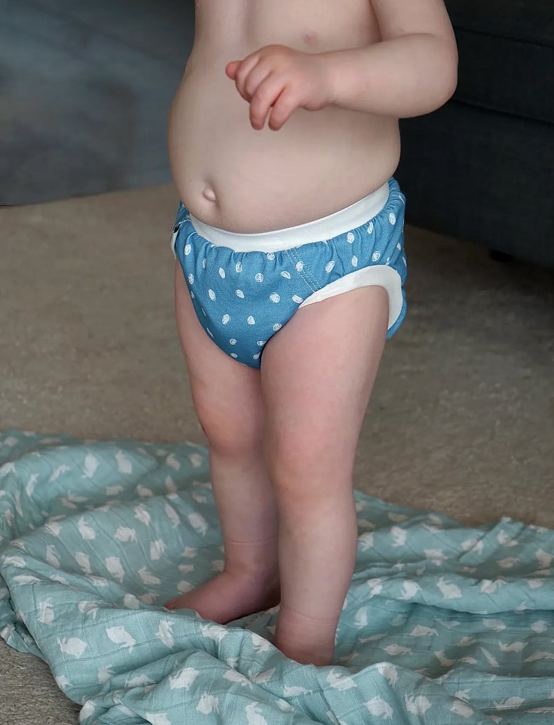 Imse Vimse - Training Pants L 9-12 kg, Blue Dots/White Teddy 2-p - underpants - blue dots/white teddy - 0