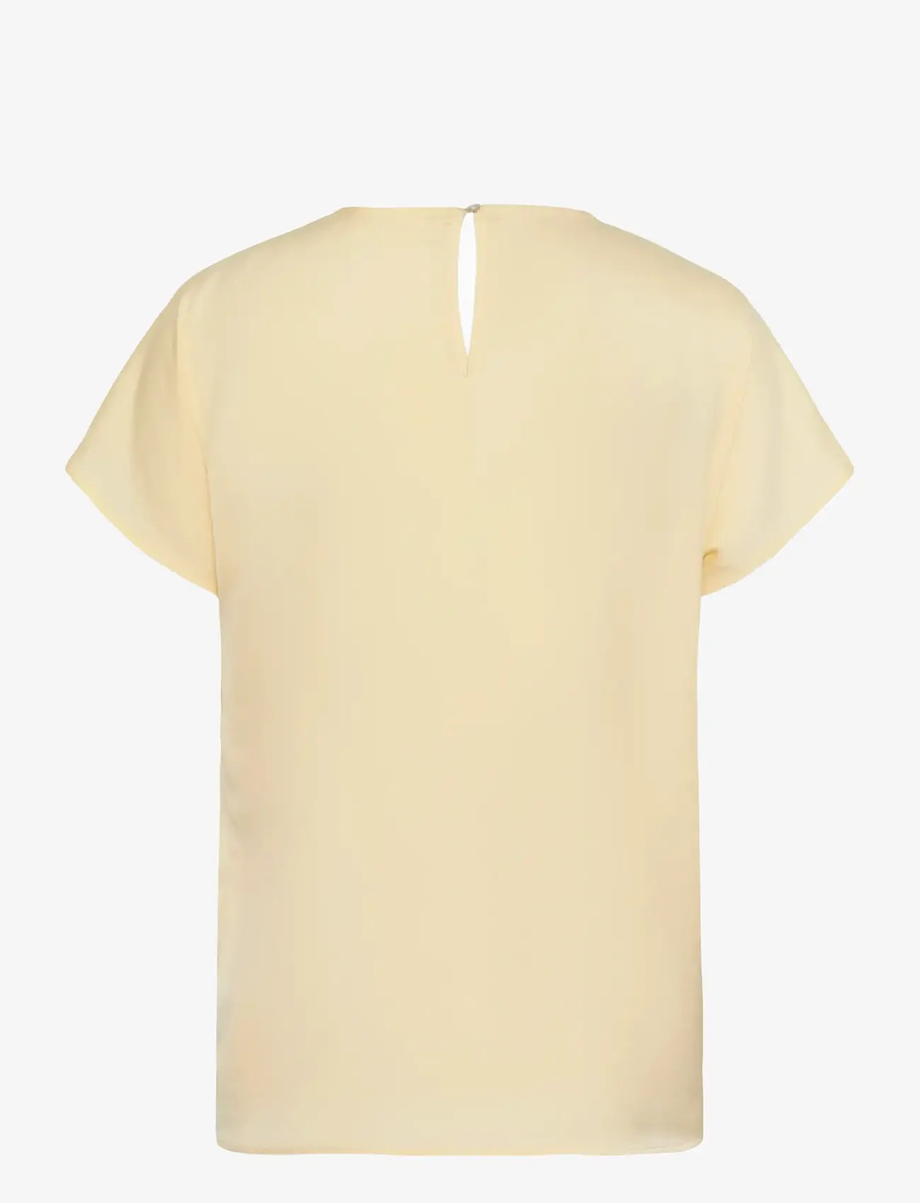 InWear - RindaIW Top - kortærmede bluser - chamomile - 2