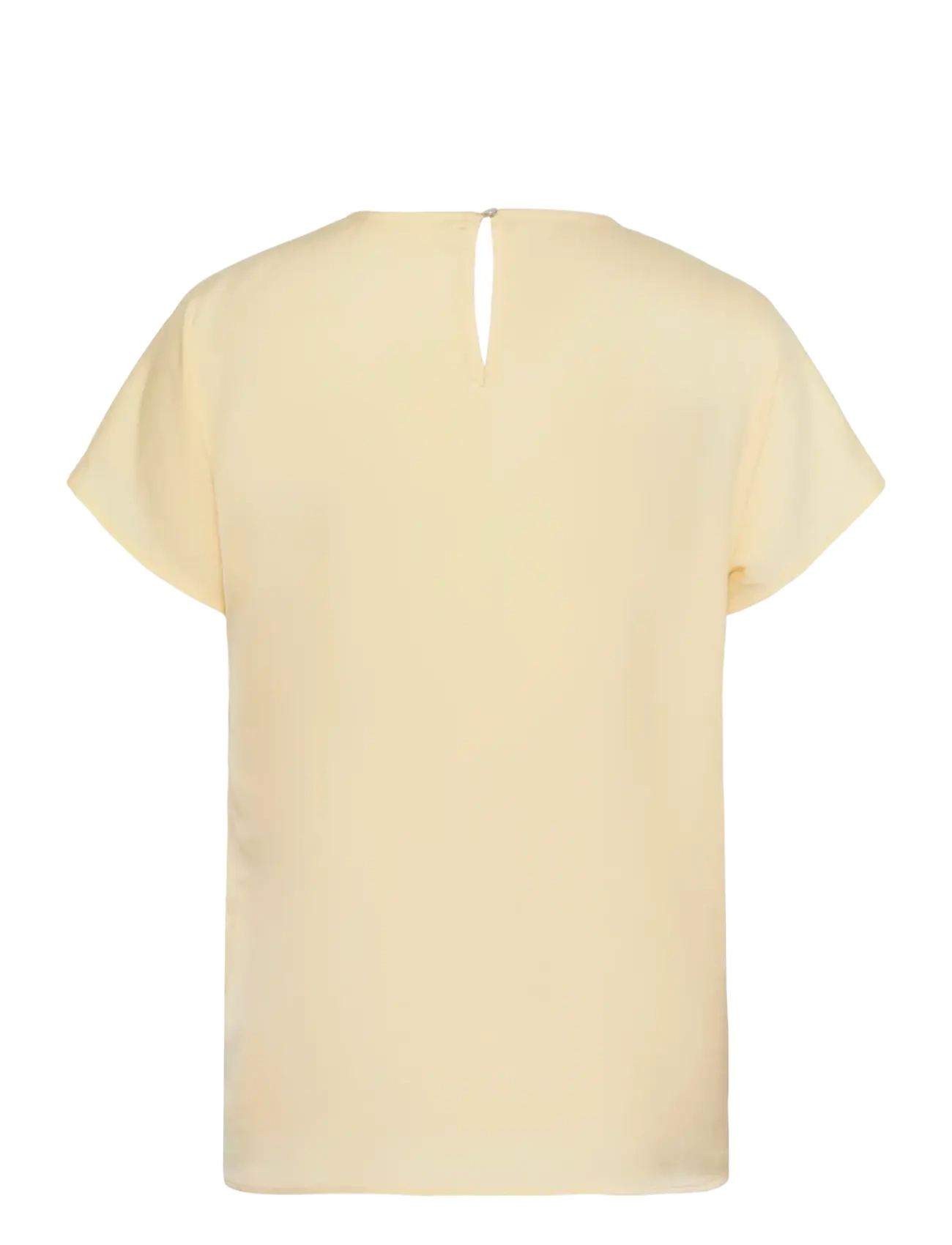 InWear - RindaIW Top - kurzärmelige blusen - chamomile - 2