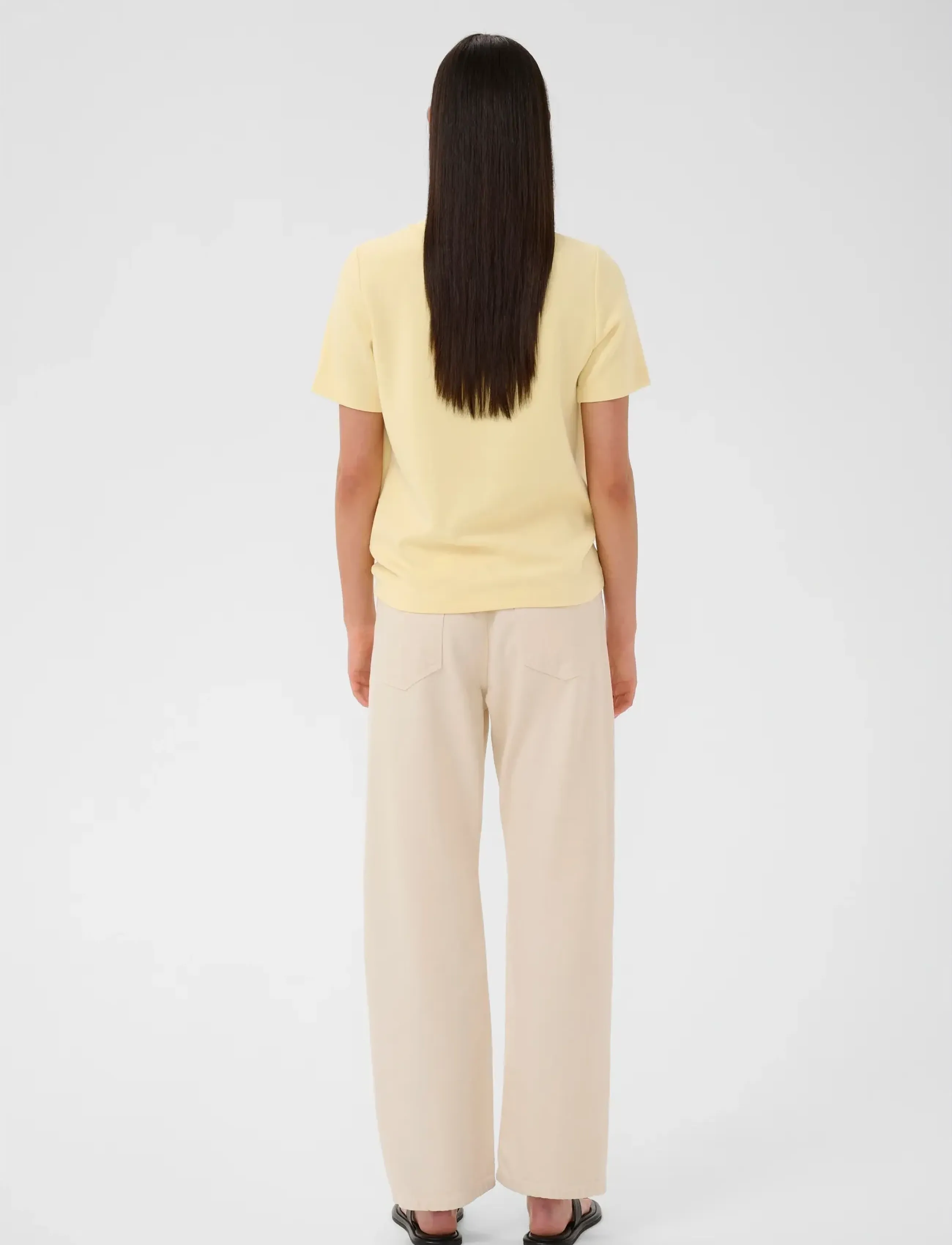 InWear - VincentIW Karmen tshirt - t-shirts - chamomile - 4