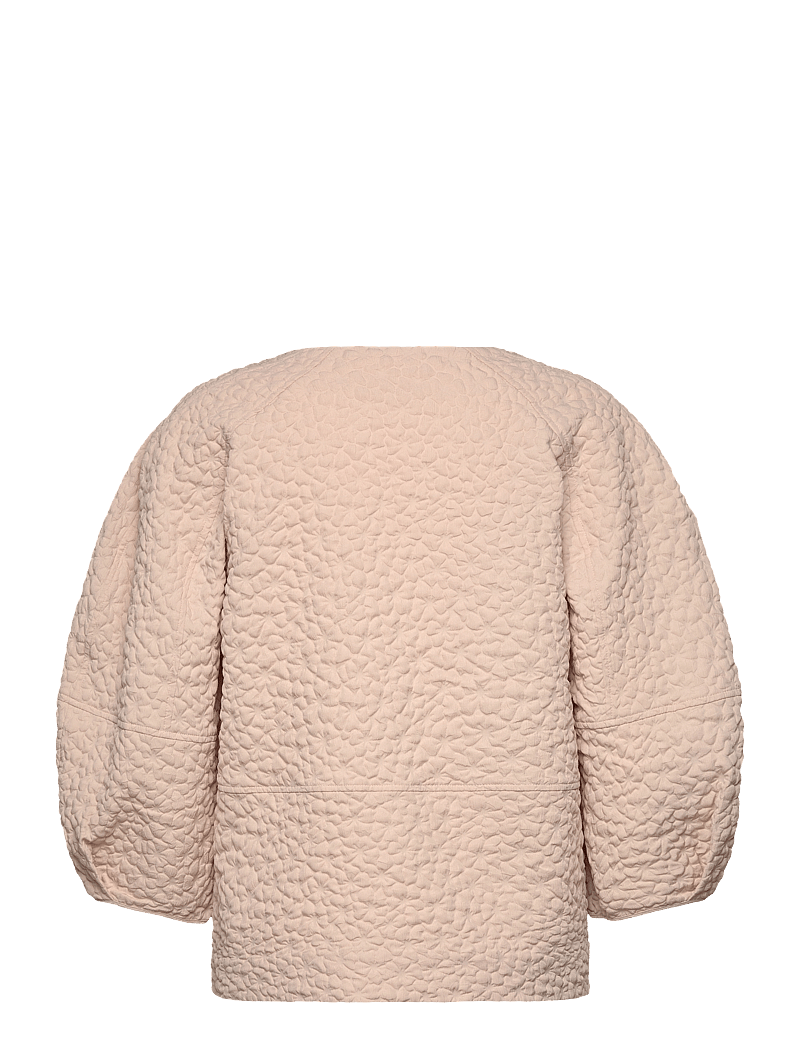 InWear - MellyIW Blouse - langärmlige blusen - haze - 2