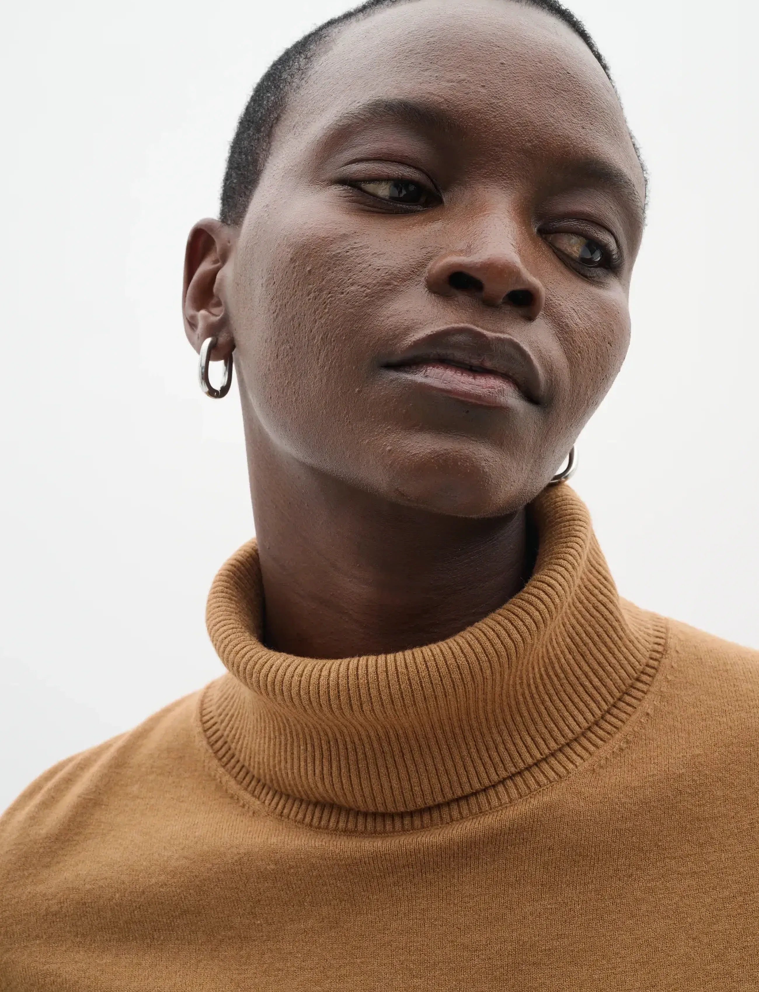InWear GleaIW Kellsie Turtleneck - Birthday - TOBACCO BROWN / beige
