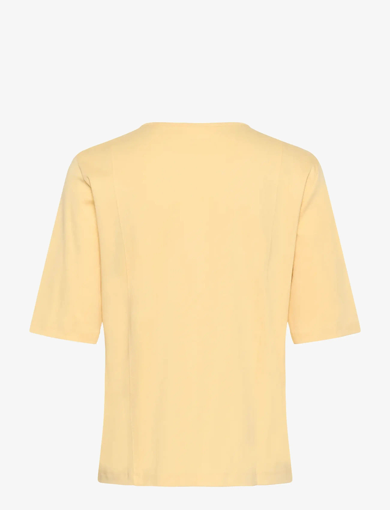 InWear - SOPHIEIW TSHIRT - t-shirts - chamomile - 2