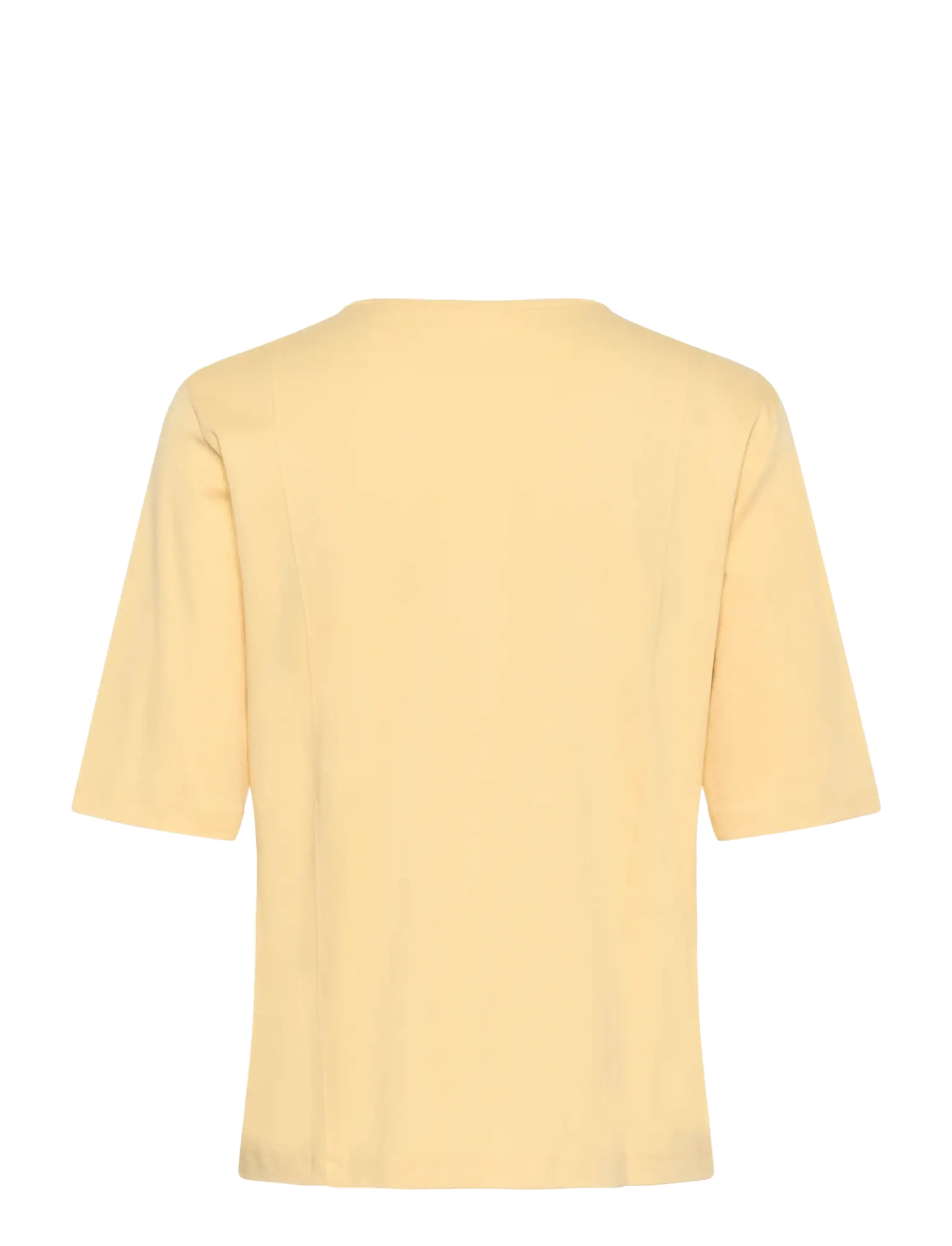InWear - SOPHIEIW TSHIRT - t-shirts - chamomile - 2
