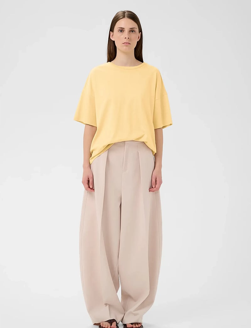 InWear - SOPHIEIW BOXY TSHIRT - t-shirts - chamomile - 3