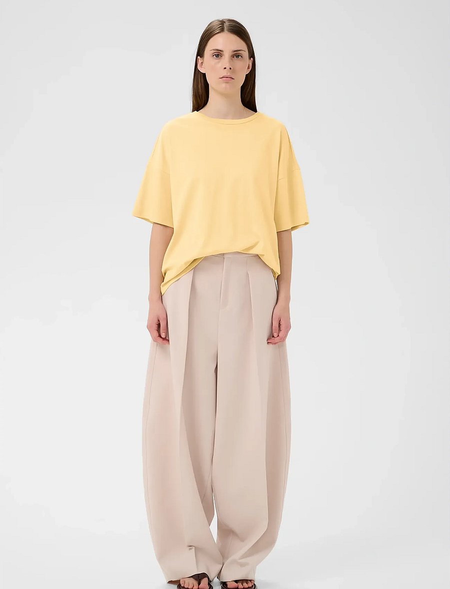 InWear - SOPHIEIW BOXY TSHIRT - t-särgid - chamomile - 3