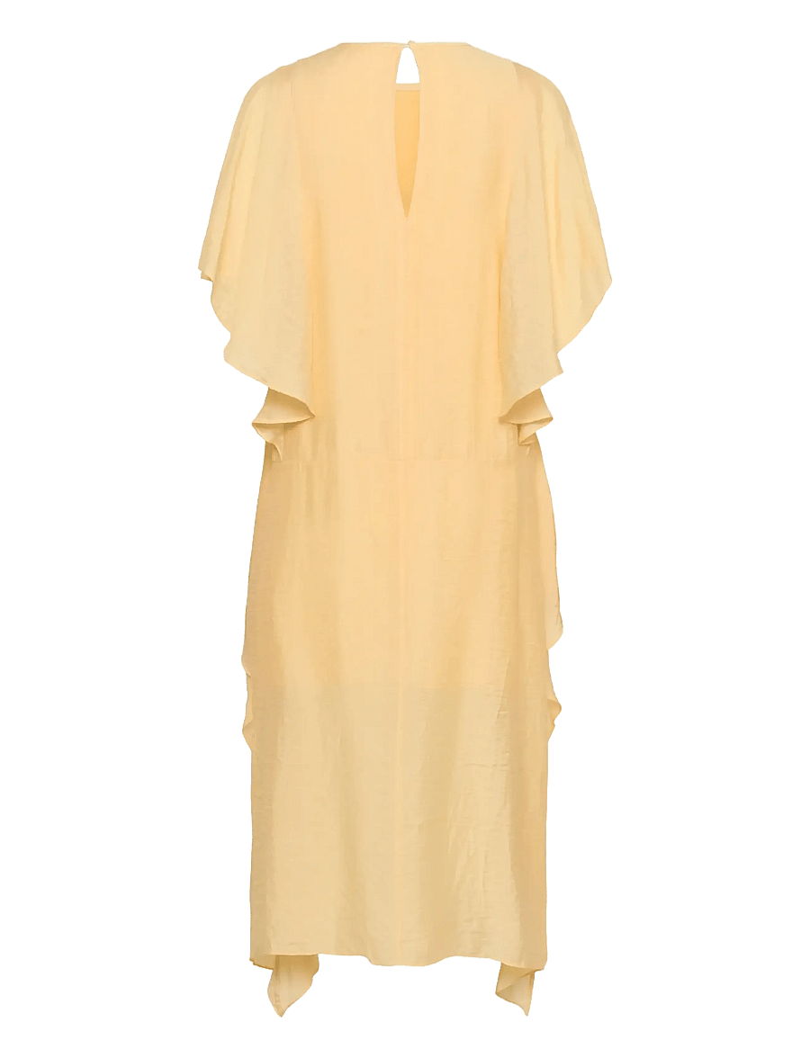 InWear - LYLAIW FEST MIDI DRESS - sommerkleider - chamomile - 2