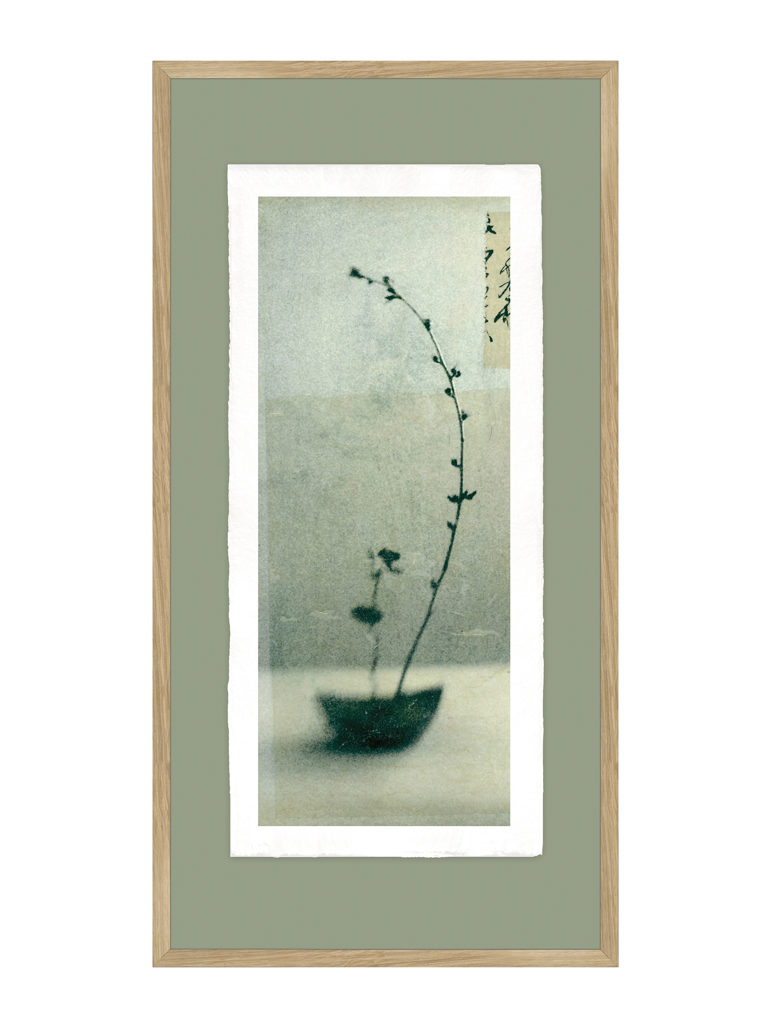 Incado Artist Paper Growing, Botanical, Multi/mønstret, Str: 52X102CM x 102