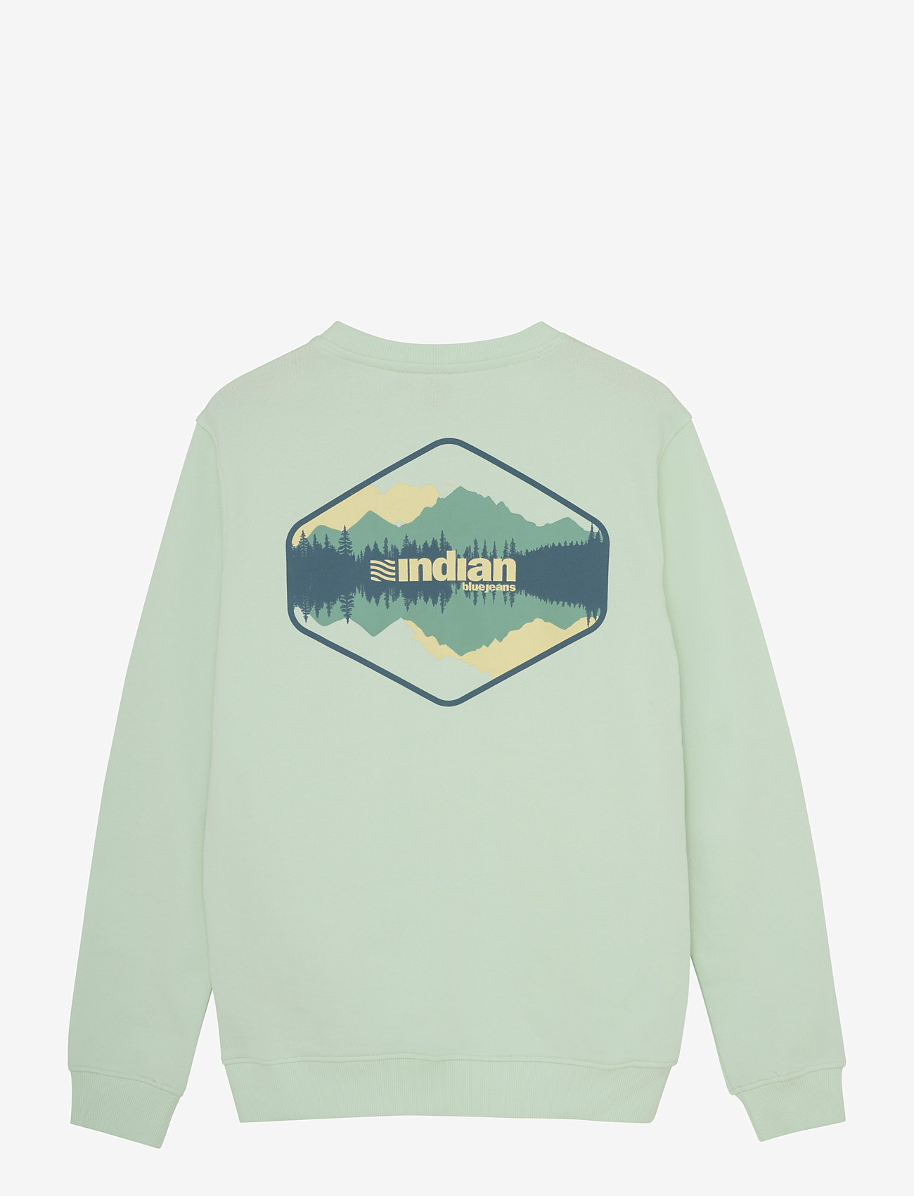 Indian Blue Jeans - Sweater Backprint - sweatshirts - fade mint - 4