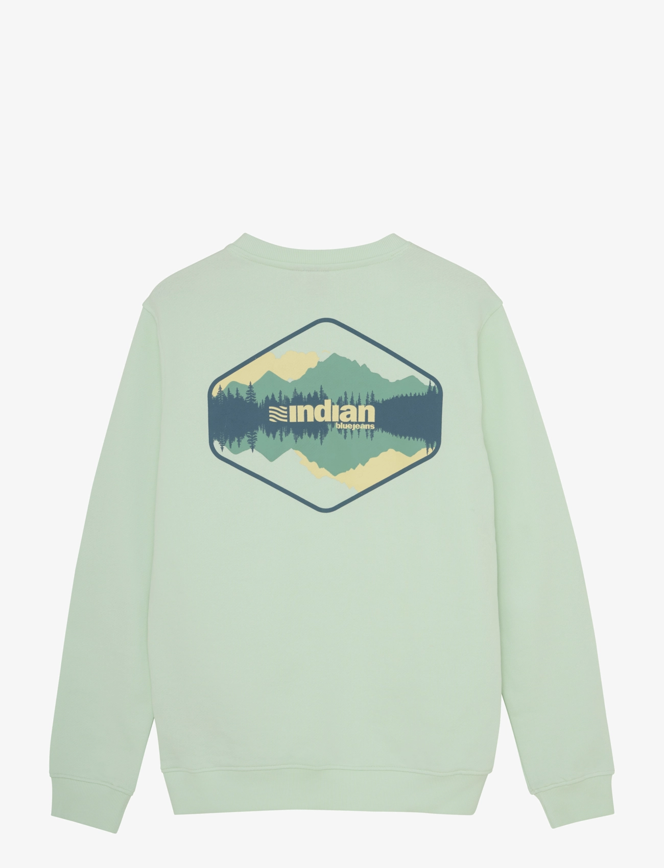 Indian Blue Jeans - Sweater Backprint - fade mint - 4