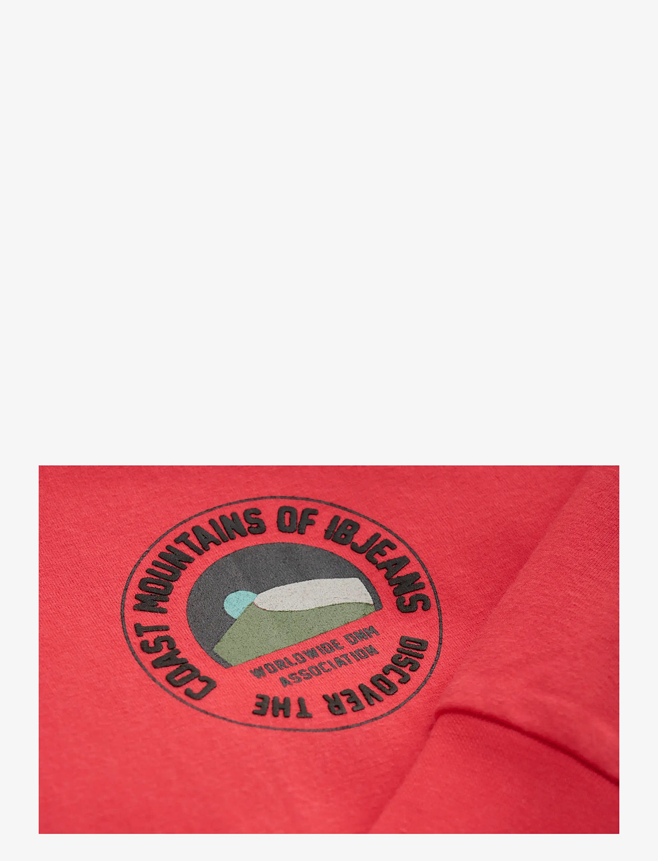 Indian Blue Jeans - T-shirt Sleeve LS Round Print - långärmade t-shirts - hibiscus red - 3