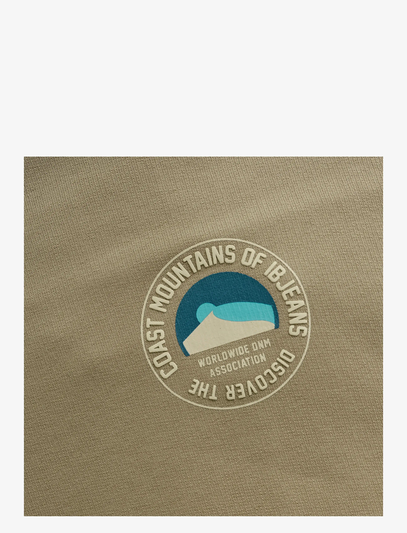 Indian Blue Jeans - Sweater Chest IB - sweatshirts - timber wolf - 3