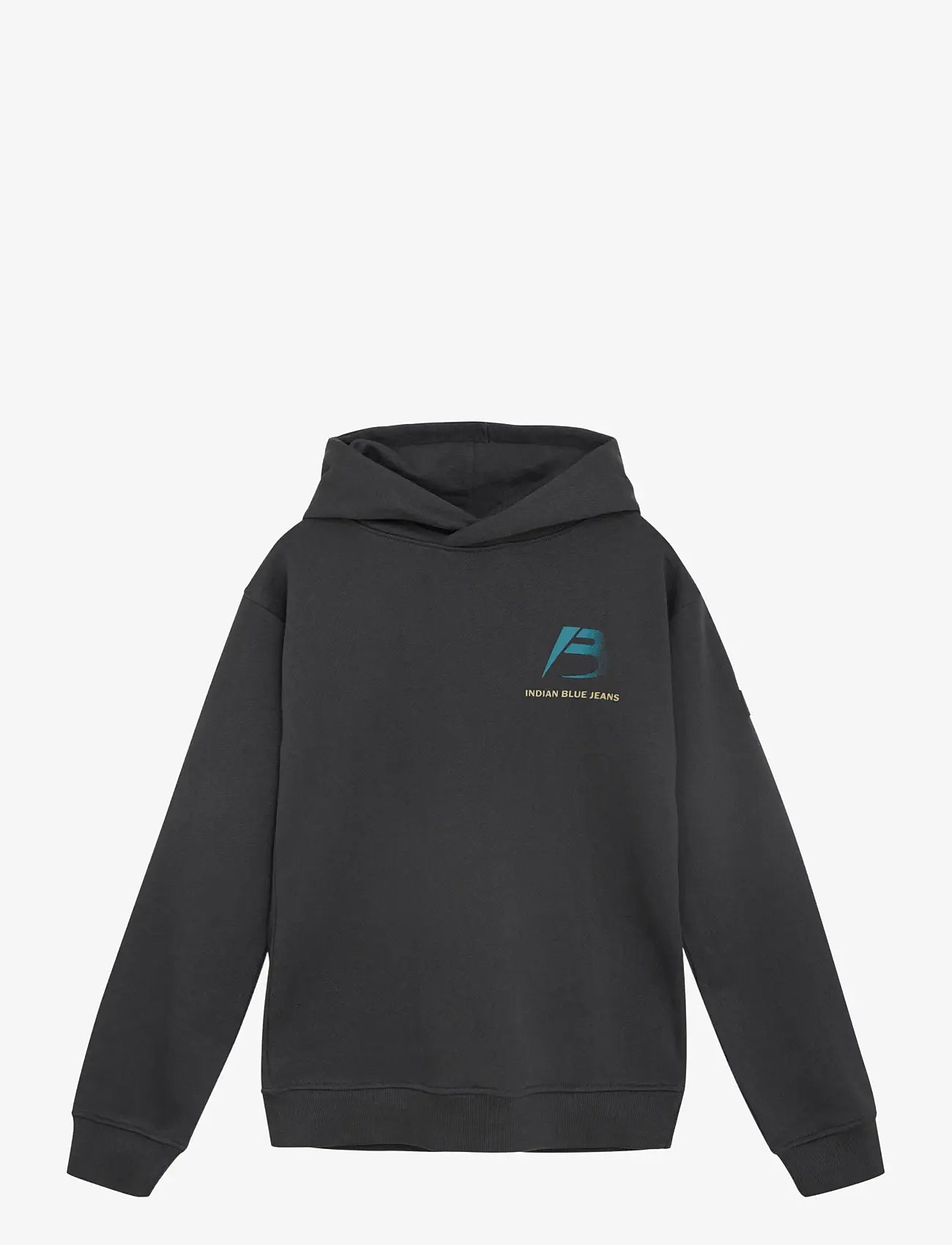 Indian Blue Jeans - Oversized Hoodie Discover - hættetrøjer - phantom - 0