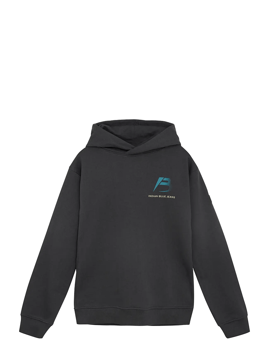 Indian Blue Jeans - Oversized Hoodie Discover - pulls à capuche - phantom - 0