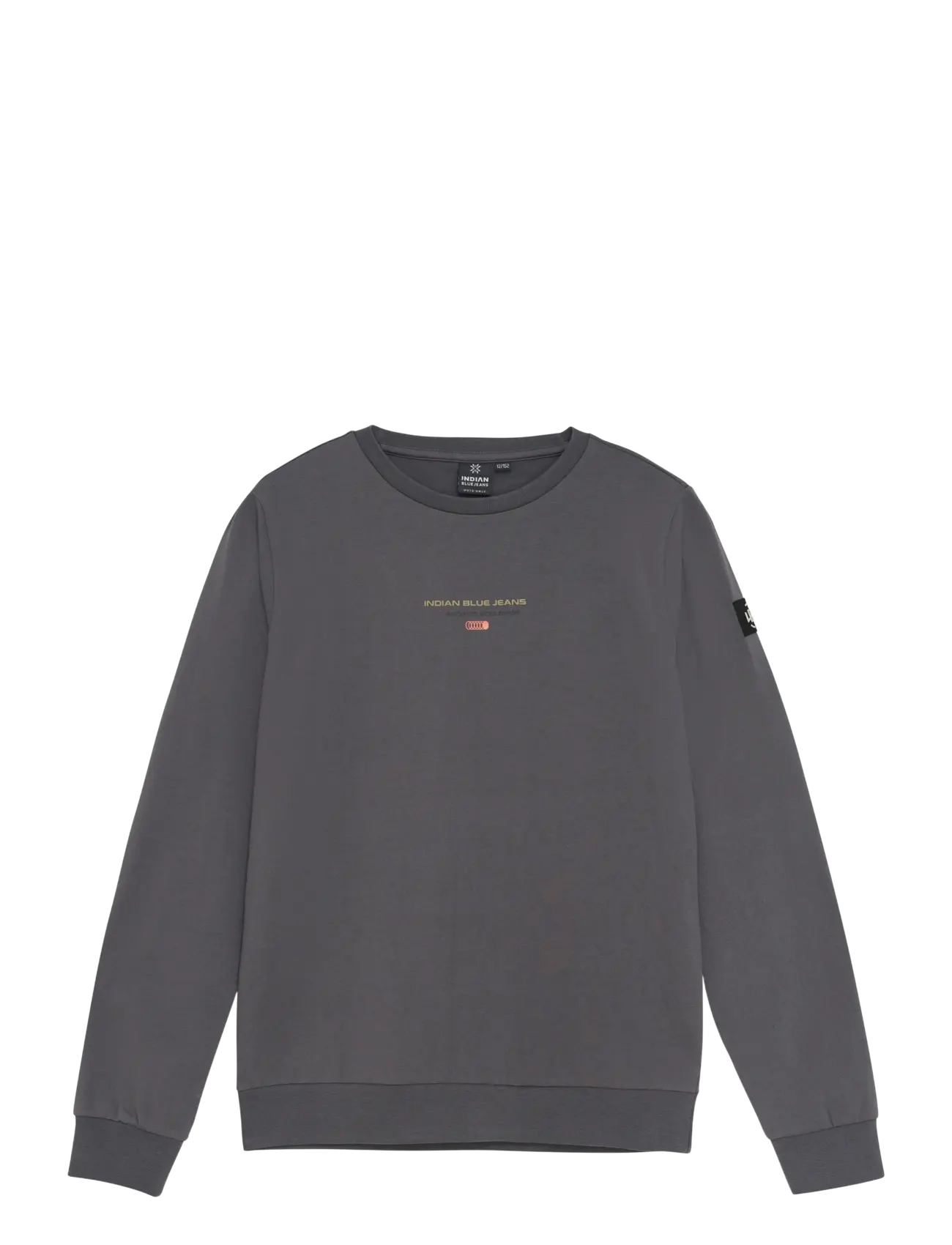 Indian Blue Jeans T-Shirt Longsleeve Limitless, 164, Grey, T-Shirts > Langærmede T-shirts, Børn