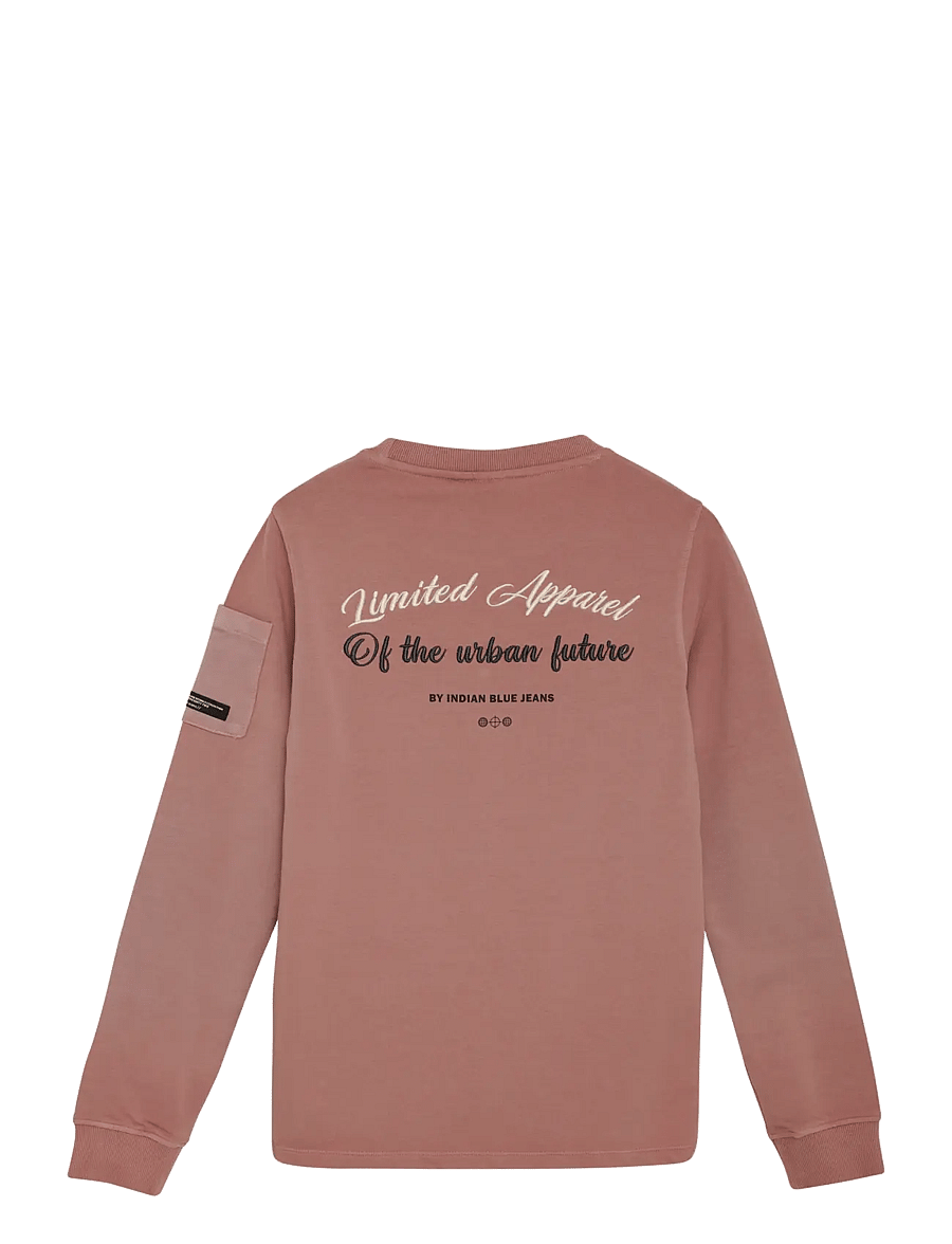 Indian Blue Jeans - T-Shirt Longsleeve Backprint - long-sleeved t-shirts - burlwood - 1