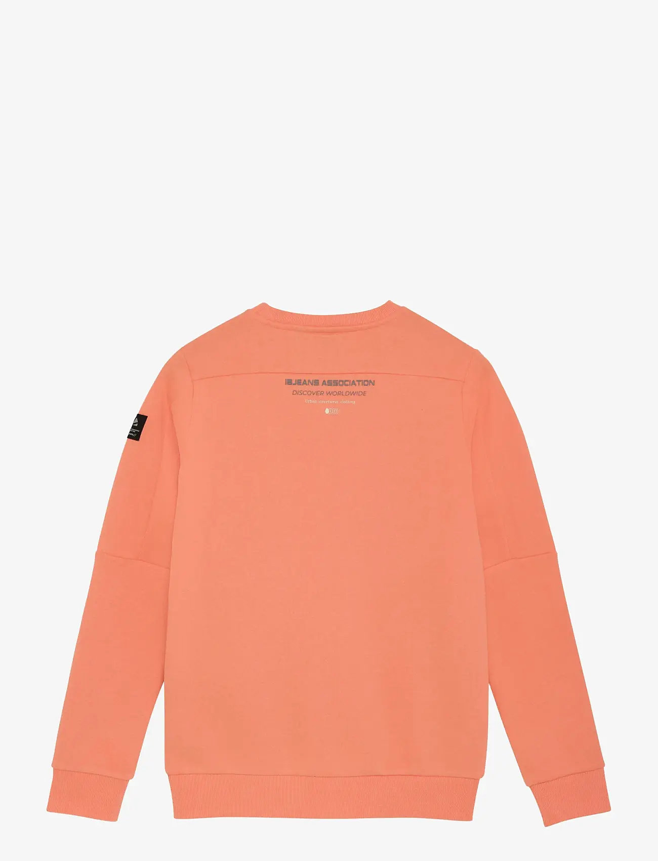 Indian Blue Jeans - Sweater Chest Print Brushed - sweatshirts - peach echo - 2