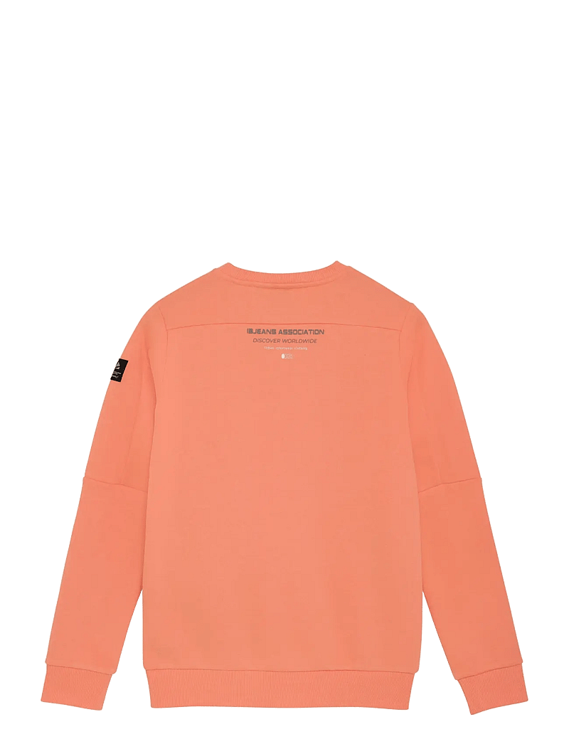 Indian Blue Jeans - Sweater Chest Print Brushed - sweatshirts - peach echo - 2