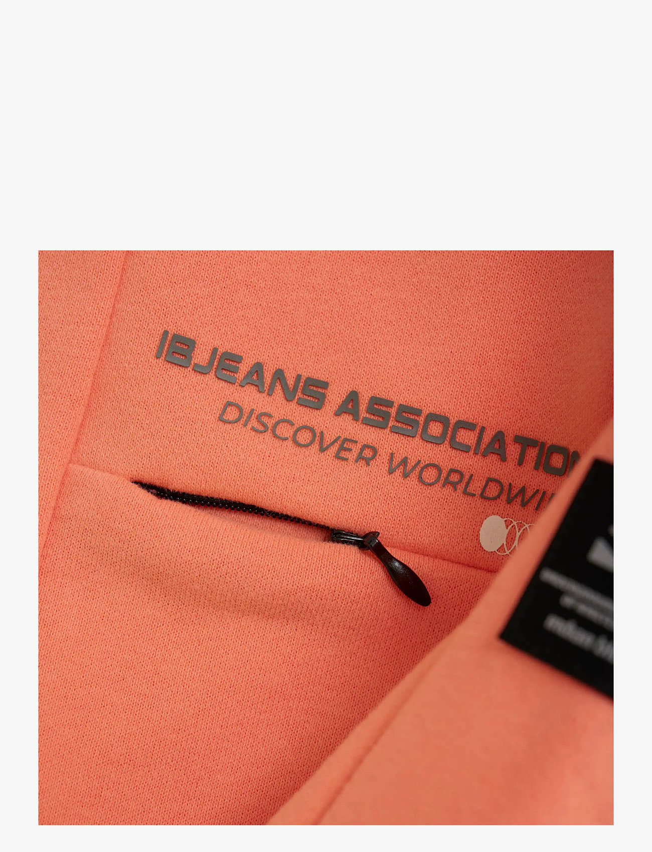 Indian Blue Jeans - Sweater Chest Print Brushed - sweatshirts - peach echo - 3