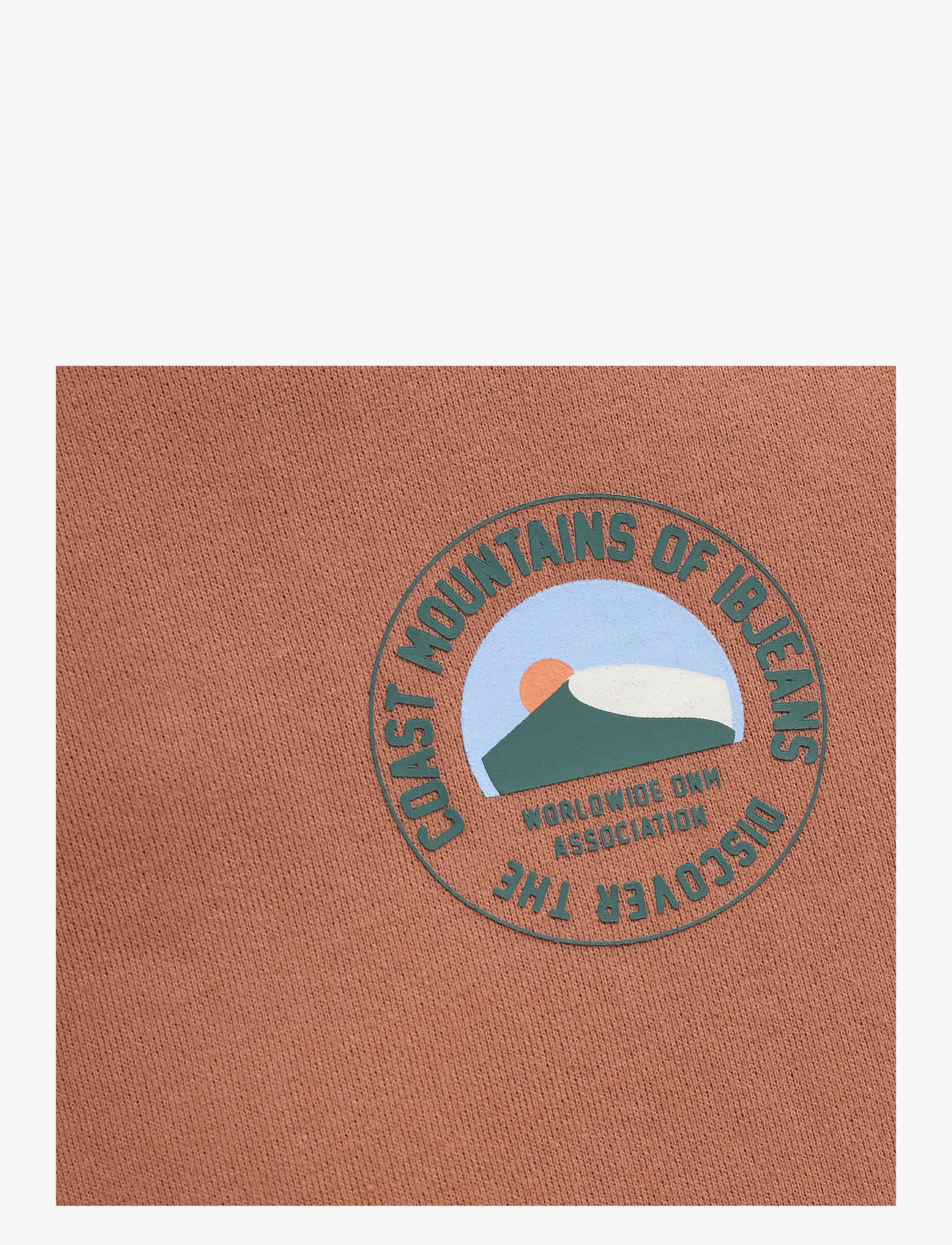 Indian Blue Jeans - Loose Fit Sweat Chest Print - sweatshirts - burlwood - 3