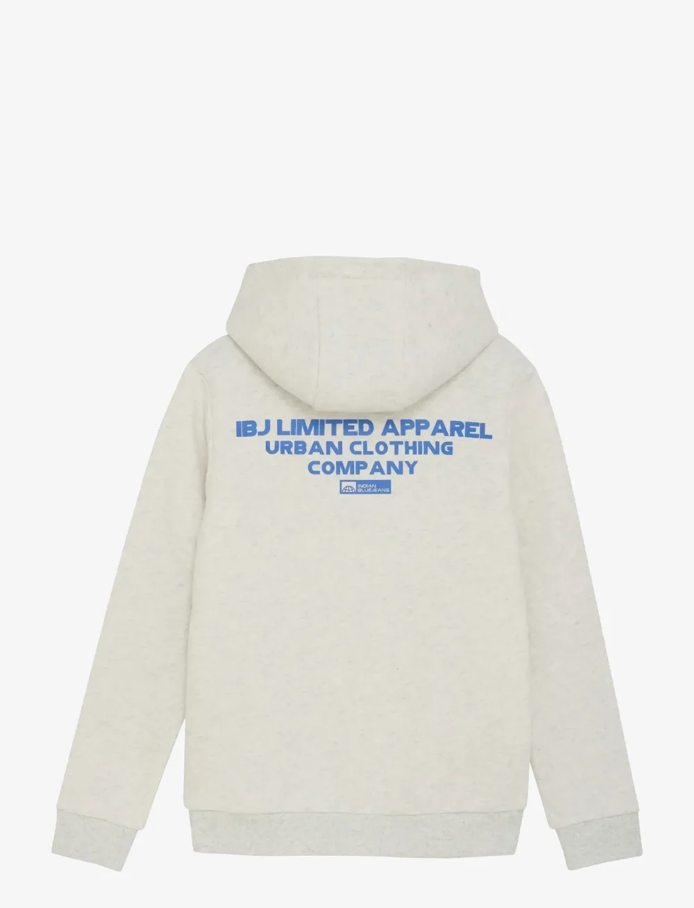 Indian Blue Jeans - Hoodie Limited Apparel - kapuzenpullover - light grey melange - 2