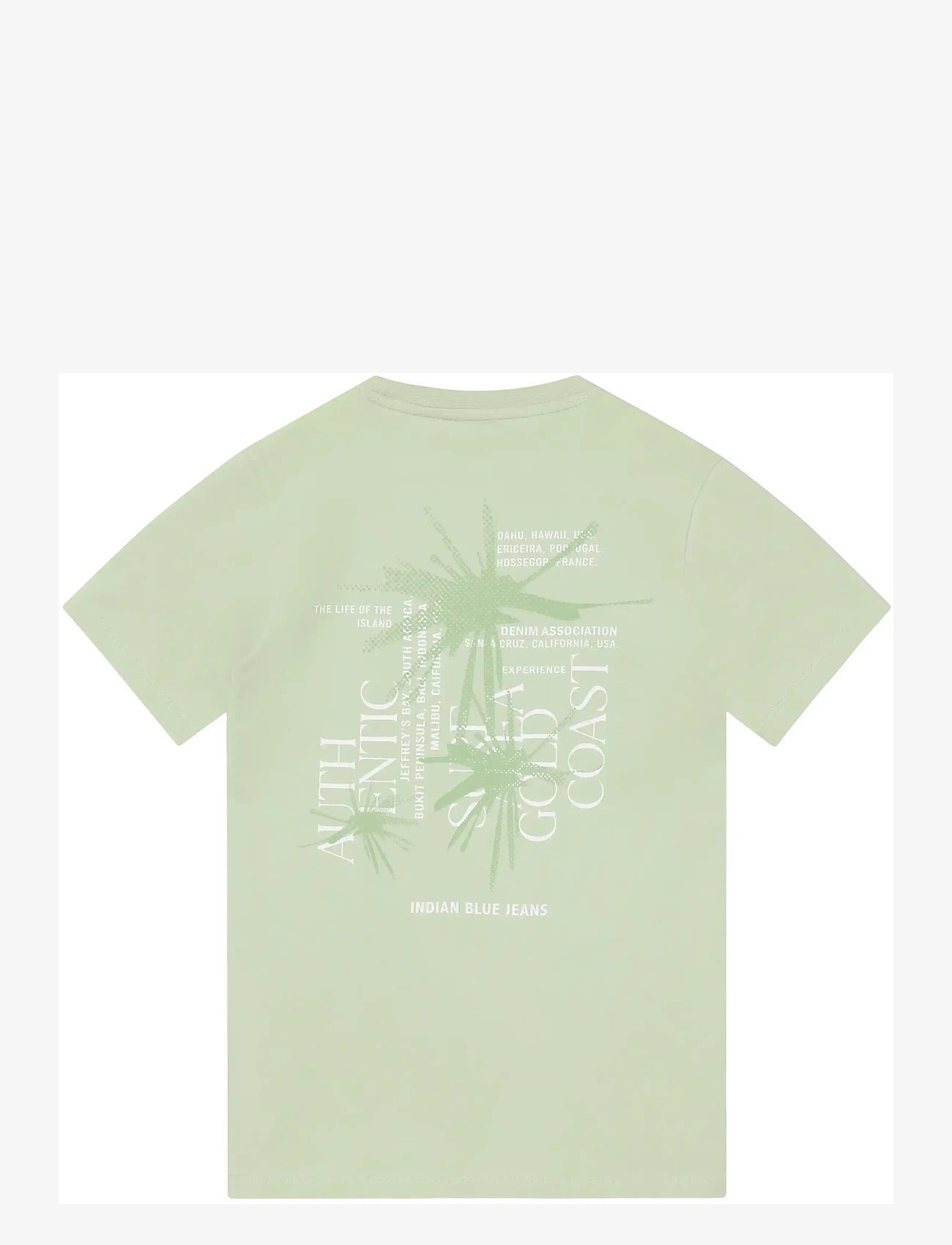 Indian Blue Jeans - T-Shirt Chest and Backprint - kurzärmelige - laurel green - 1