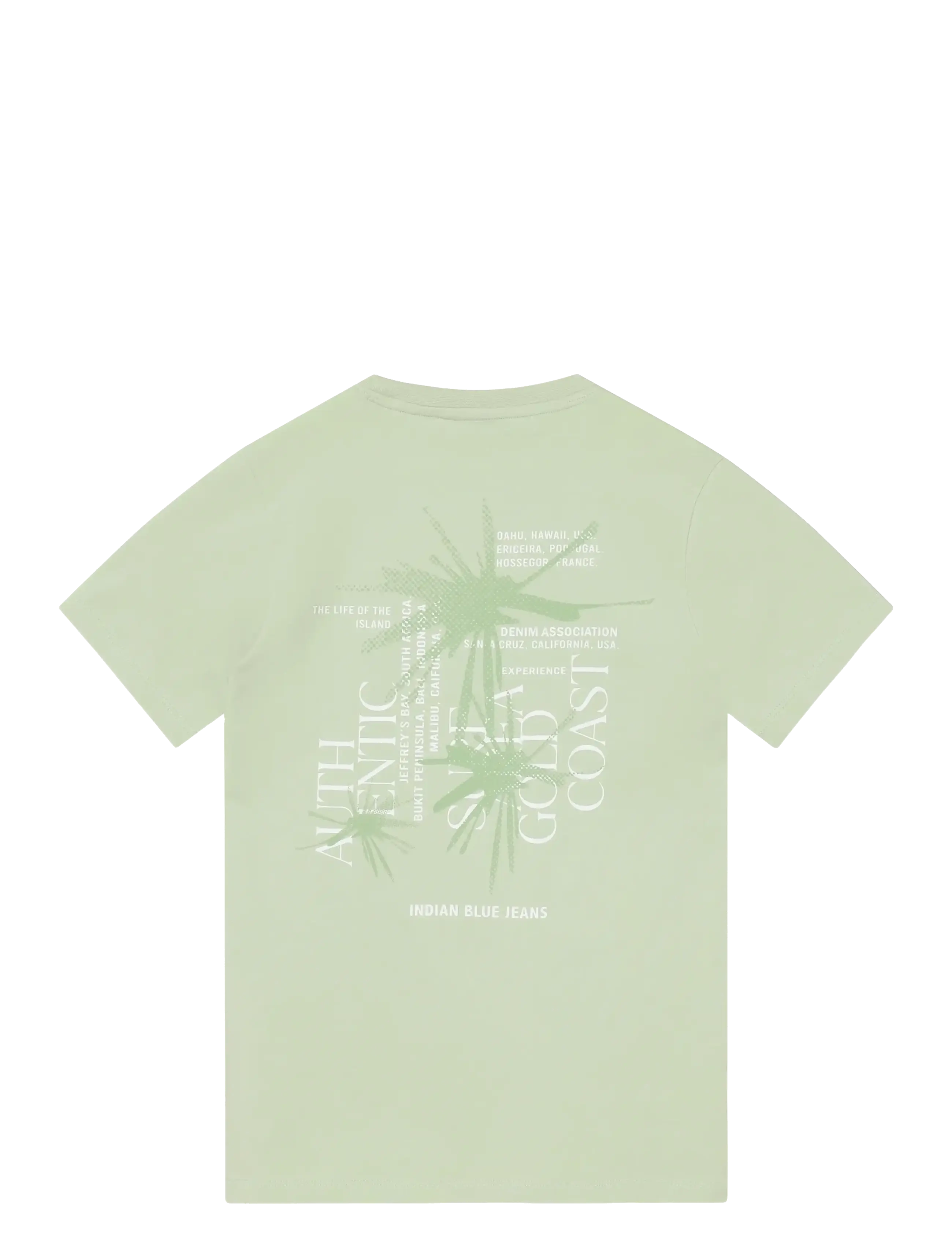 Indian Blue Jeans - T-Shirt Chest and Backprint - kortärmade t-shirts - laurel green - 1