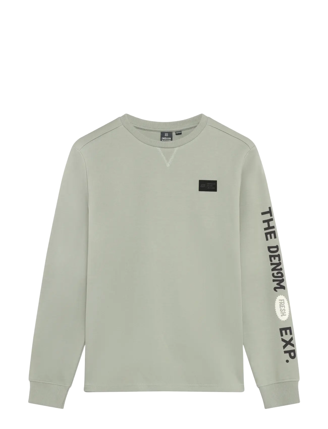 Indian Blue Jeans T-Shirt LS AW Sleeve - Långärmade t-shirts - DUST GREEN / green