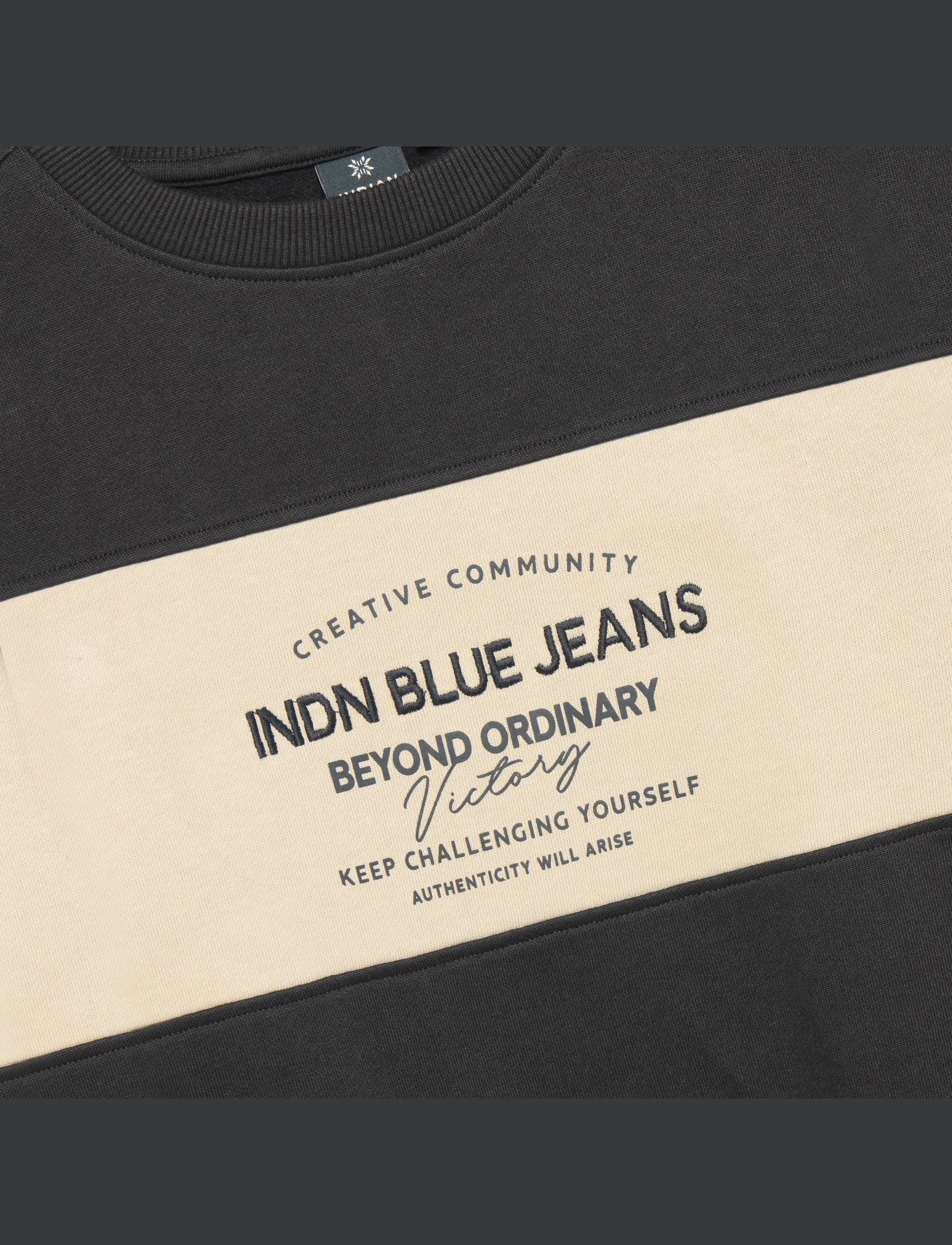 Indian Blue Jeans - Loose Fit Sweat IB Chest Brush - antra ash - 2