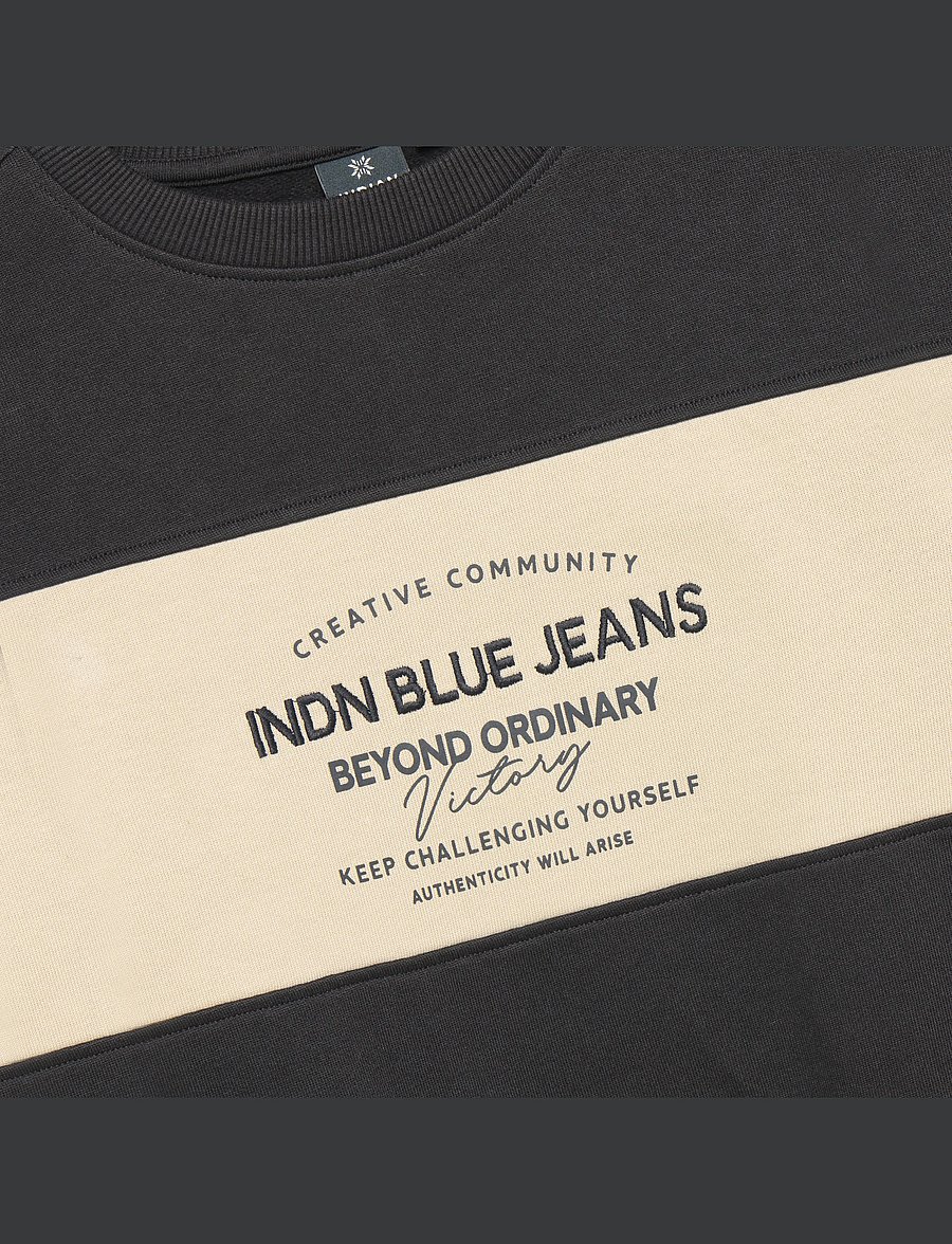Indian Blue Jeans - Loose Fit Sweat IB Chest Brush - antra ash - 2