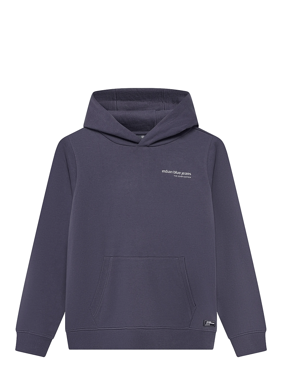 Indian Blue Jeans - Hoodie Backprint Brushed - dusty dark purple - 1