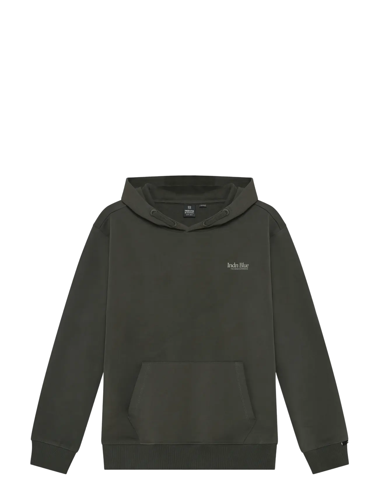 Indian Blue Jeans Loose Fit Hoodie Basic - Kapuzenpullover - DUST ARMY / khaki/green