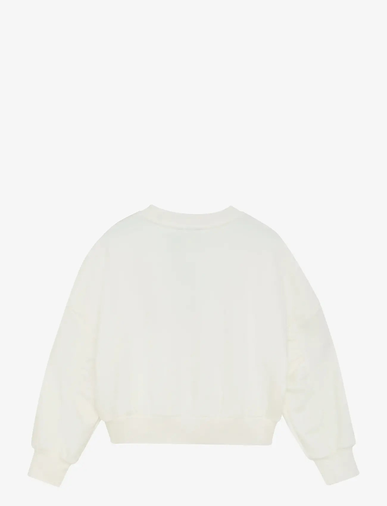 Indian Blue Jeans - Sweater Foil - sweatshirts - cloud - 2