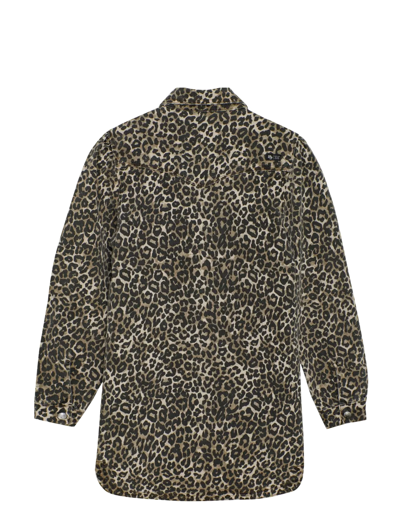 Indian Blue Jeans - Dress Leopard - långärmade vardagsklänningar - cornstalk - 2