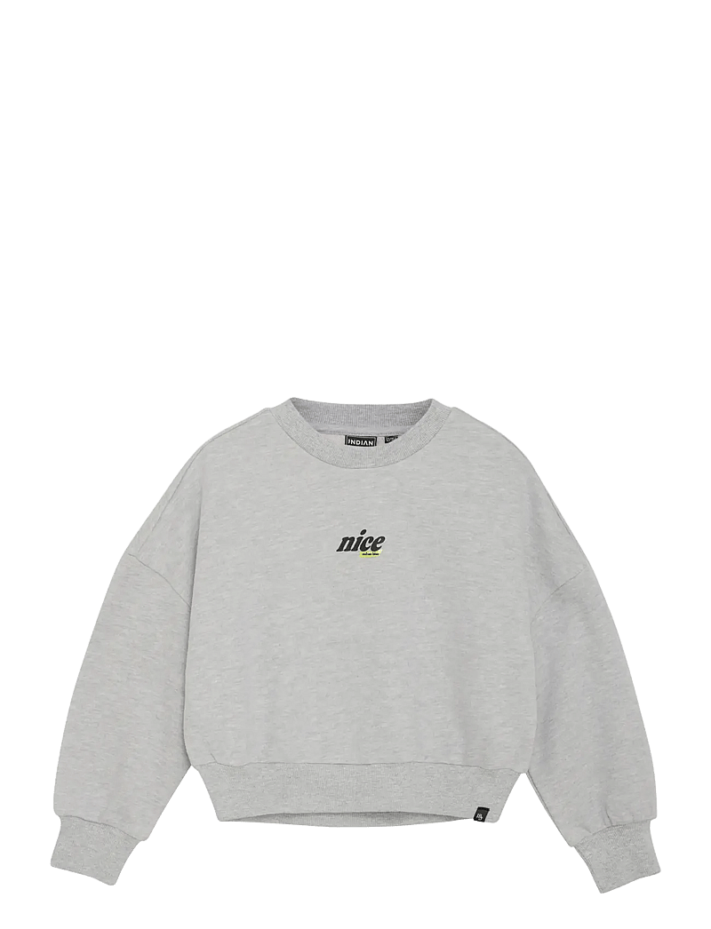 Indian Blue Jeans - Sweater Glitterprint - sweatshirts - dove - 0