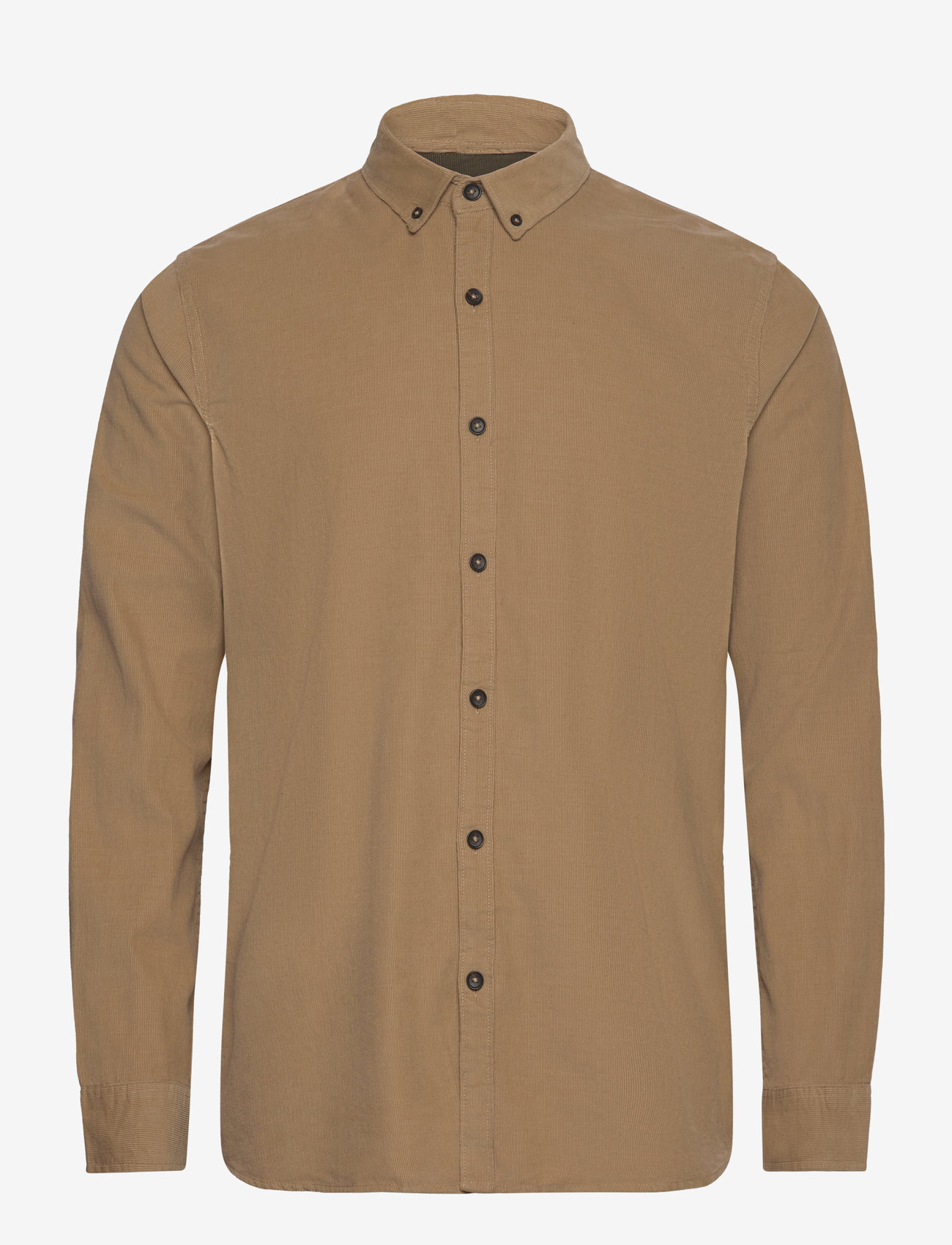 INDICODE - INRyan - cornstalk - 0