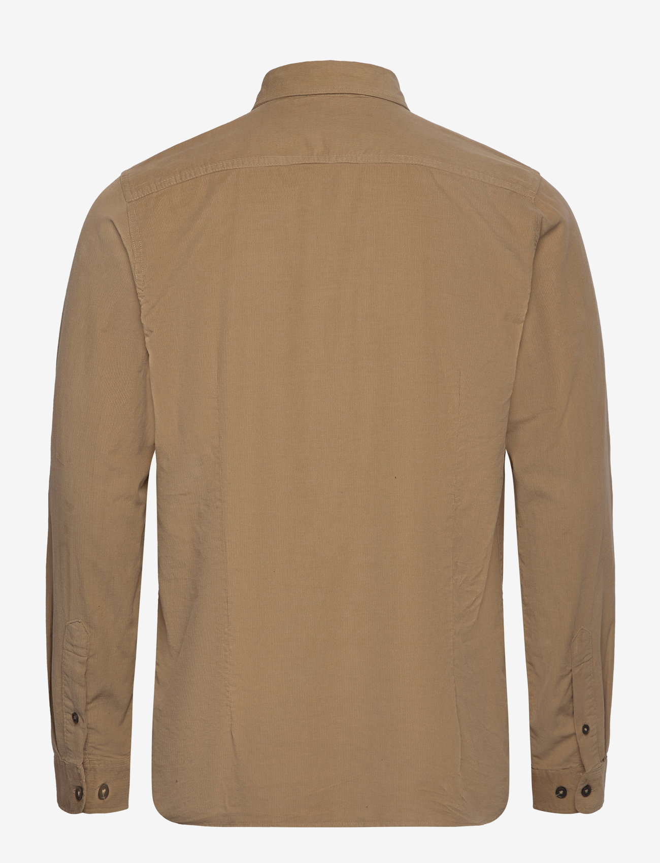 INDICODE - INRyan - cornstalk - 1