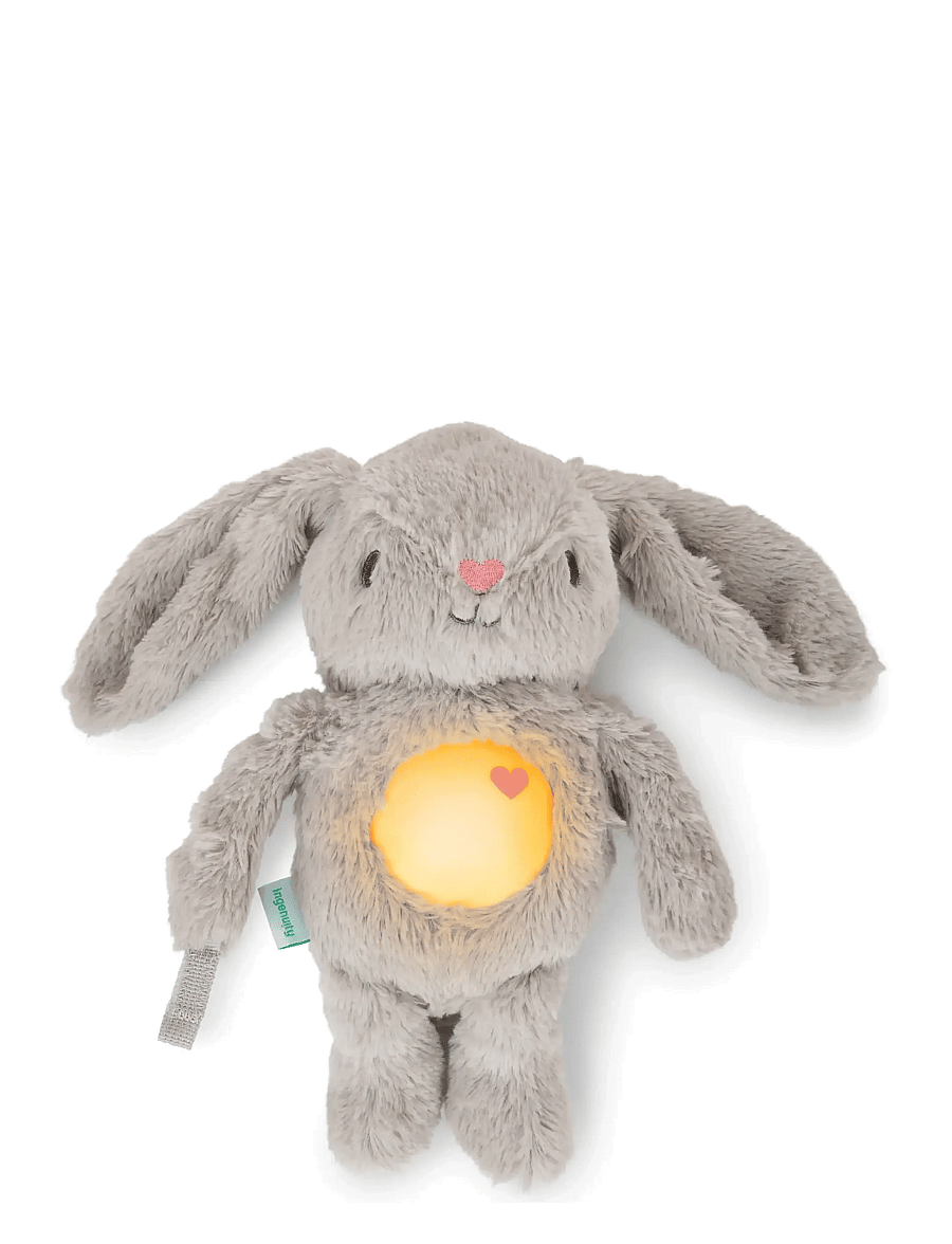 Ingenuity - Sylvi™ Plush Soother - speldosor - multi coloured - 2