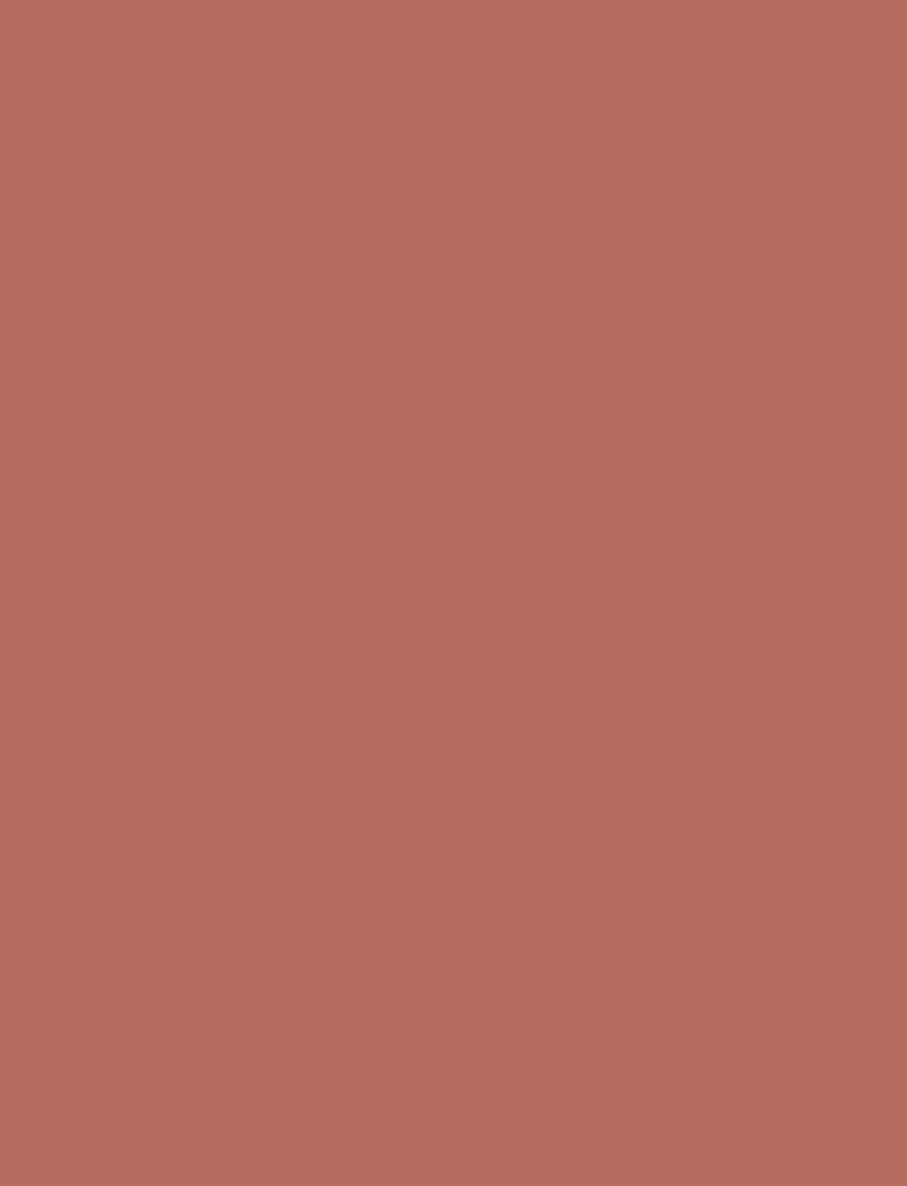 INGLOT - INGLOT CREAM STICK BLUSH RUSTY PINK 211 - makeup - rusty pink 211 - 5