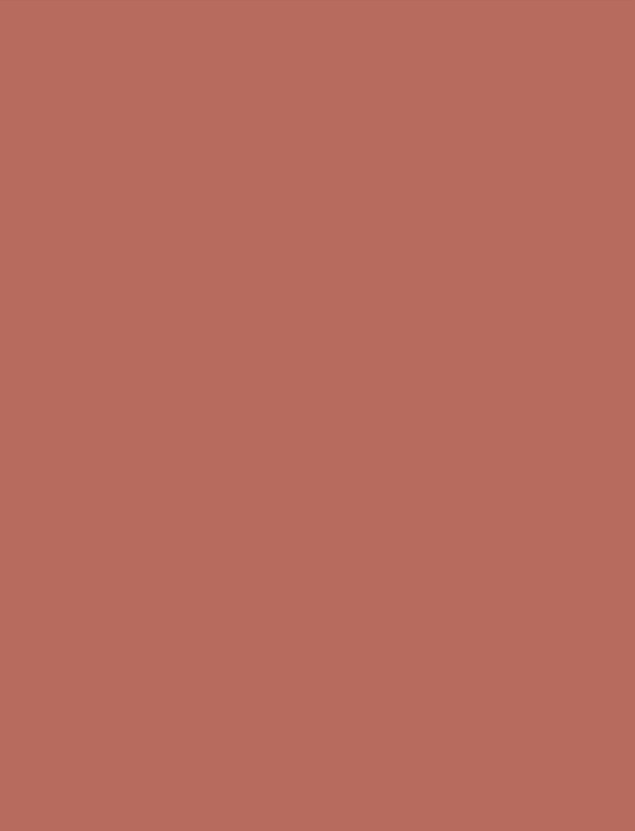 INGLOT - INGLOT CREAM STICK BLUSH RUSTY PINK 211 - makeup - rusty pink 211 - 5