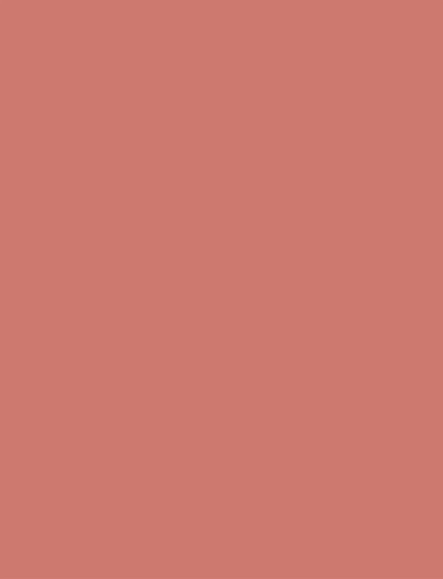 INGLOT - INGLOT VELVET DEFINE LIP PENCIL ROSE CHOCOLATE 63 - makeup - rose chocolate - 5