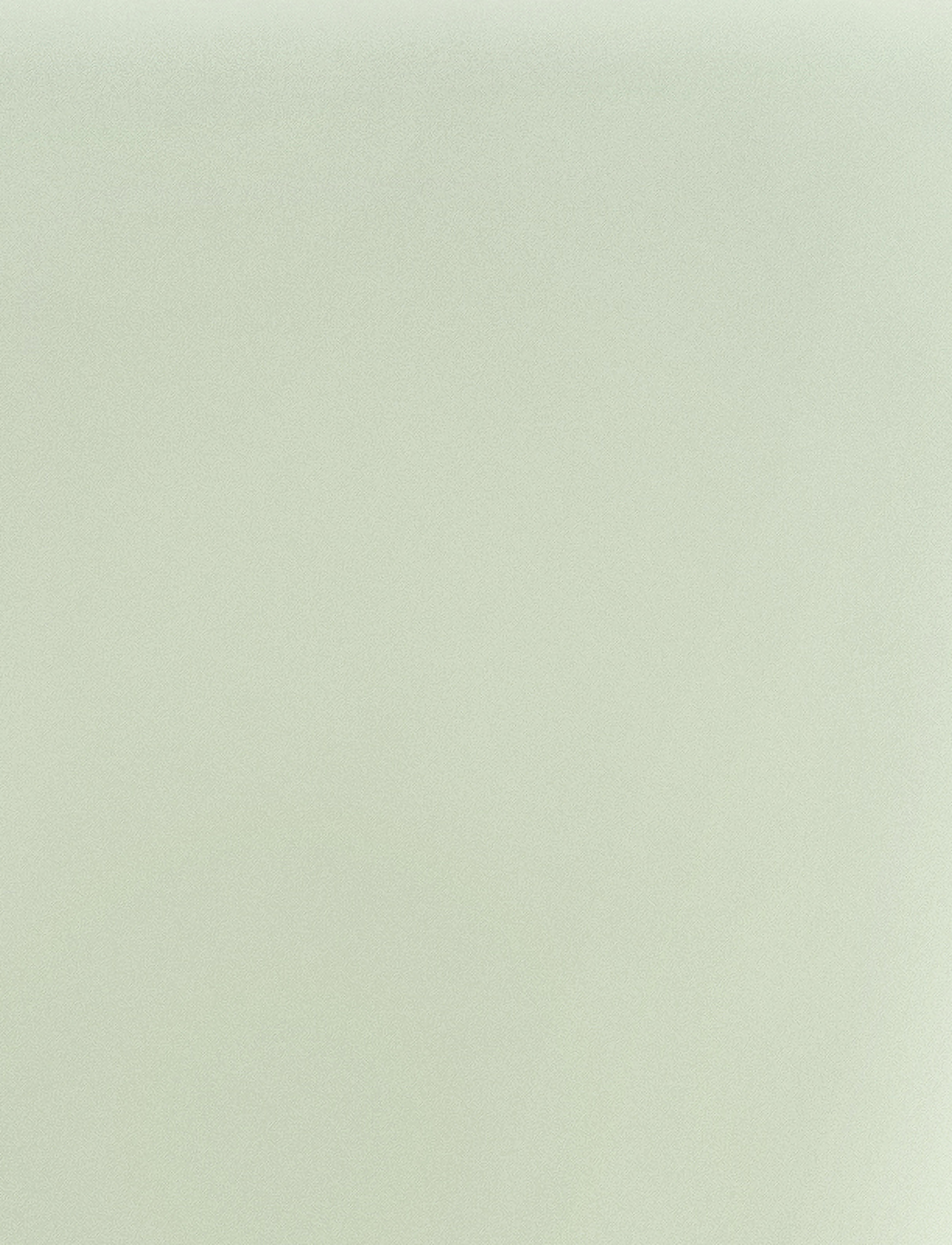 IsaDora - Wonder Nail Polish - festtøj til outletpriser - pale sage - 4