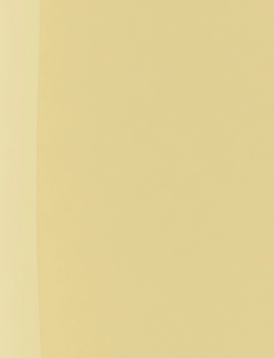 IsaDora - The Wonder Nail Polish Quick dry & Longwear 107 Panna Cotta - makeup - panna cotta - 5