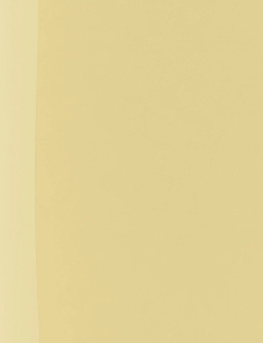 IsaDora - The Wonder Nail Polish Quick dry & Longwear 107 Panna Cotta - makeup - panna cotta - 5
